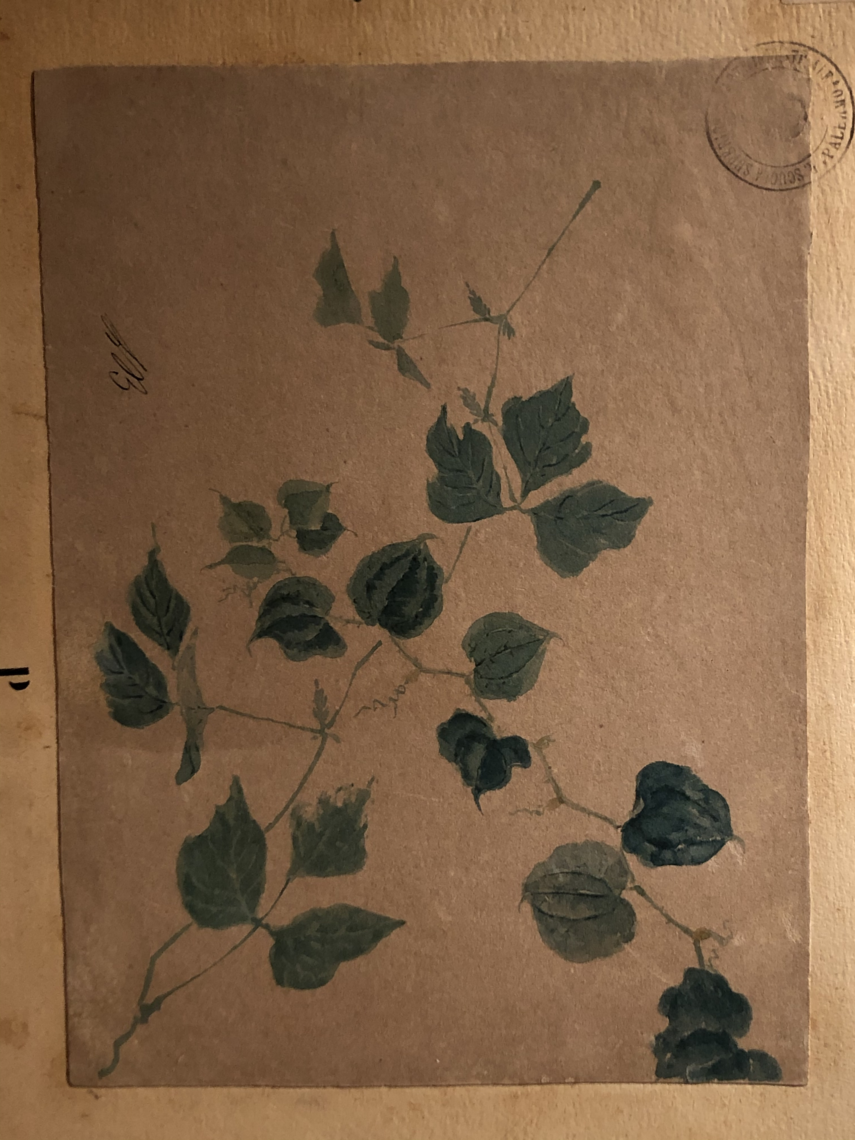 Photo Italie Sicile Palermo Palais des Normands 2020-02 226