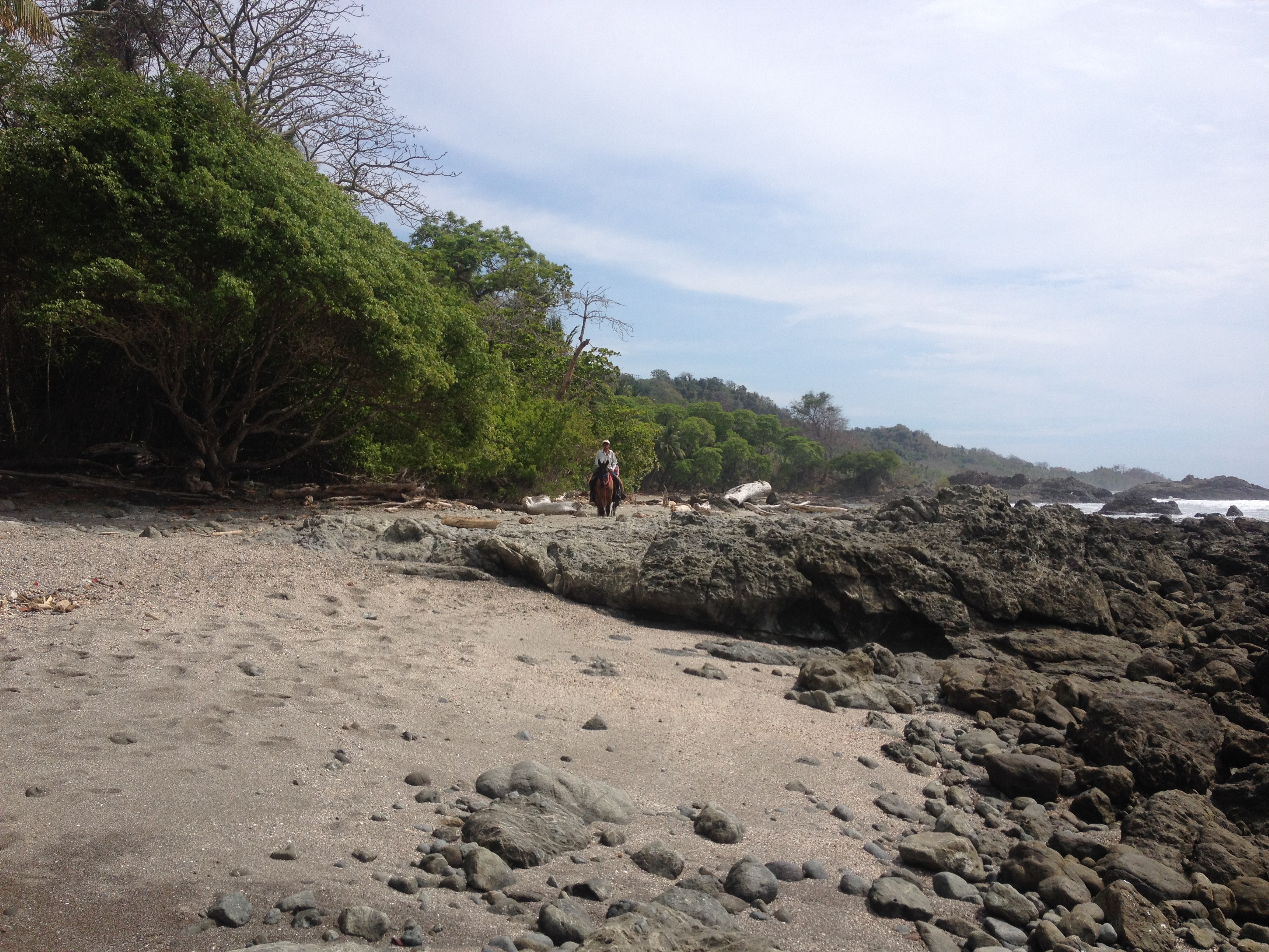 Photo Costa Rica Montezuma 2015-03 422