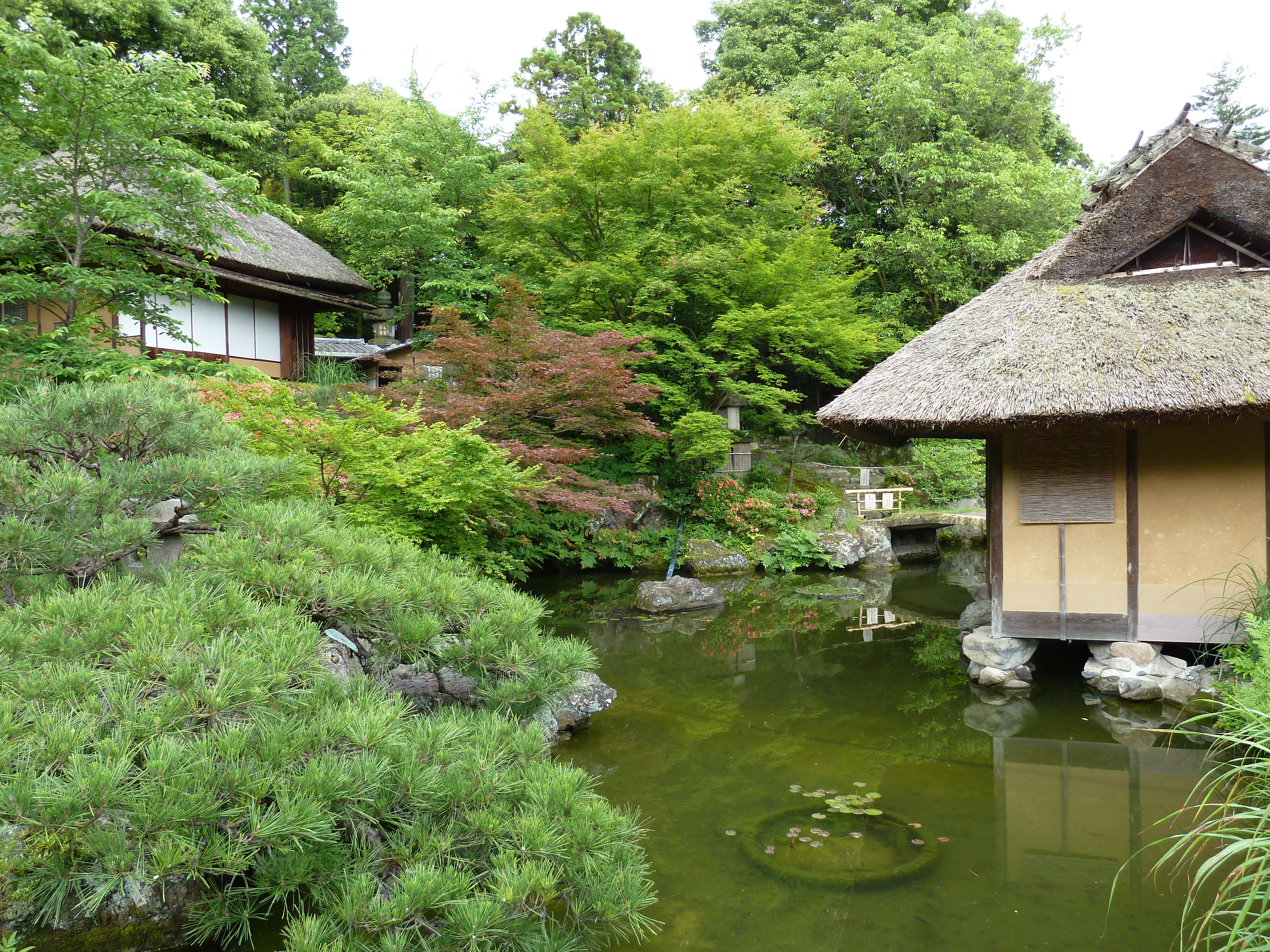 Photo Japon 2010-06 32