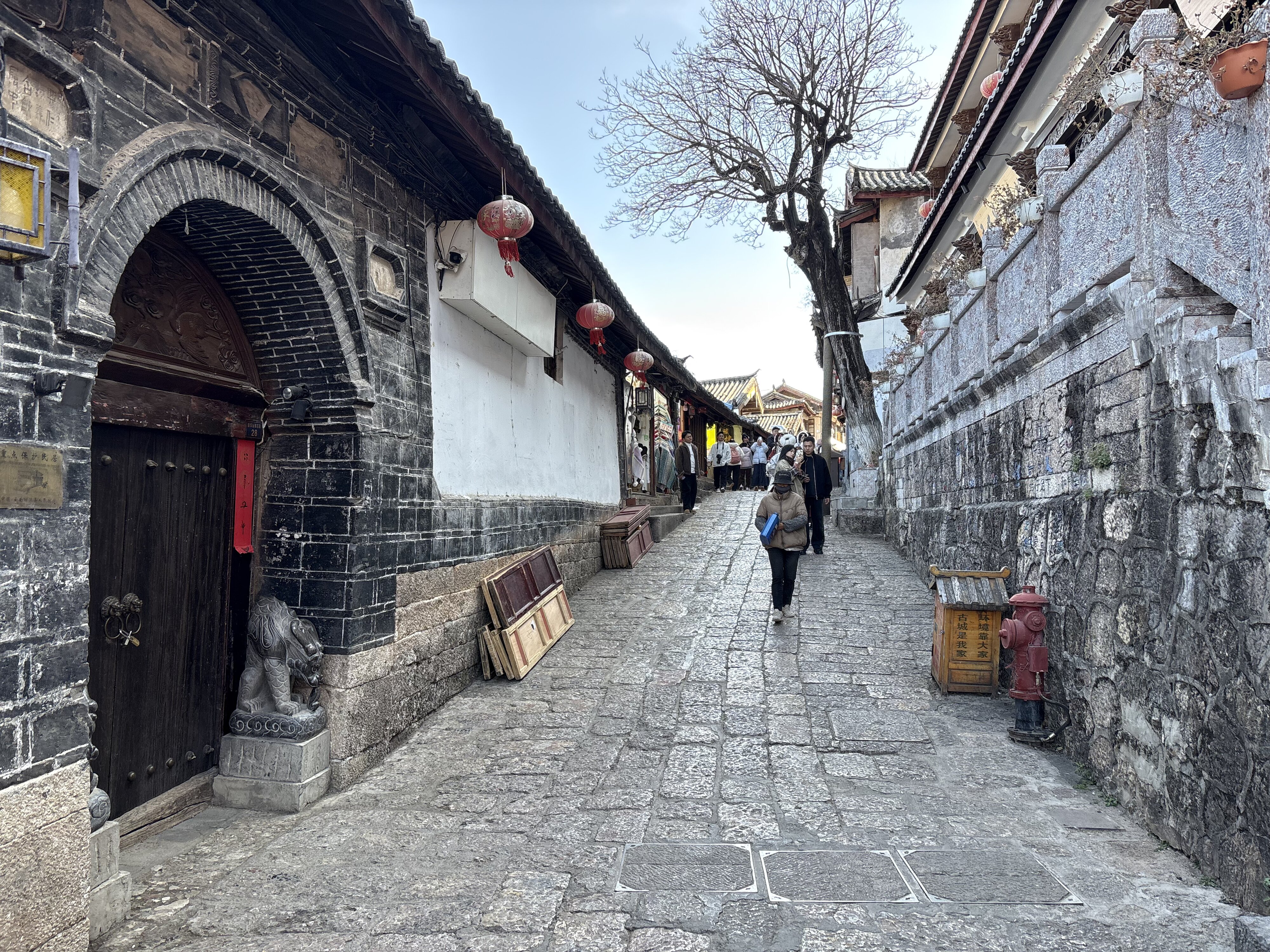 Photo Chine Lijiang 2026-01 759