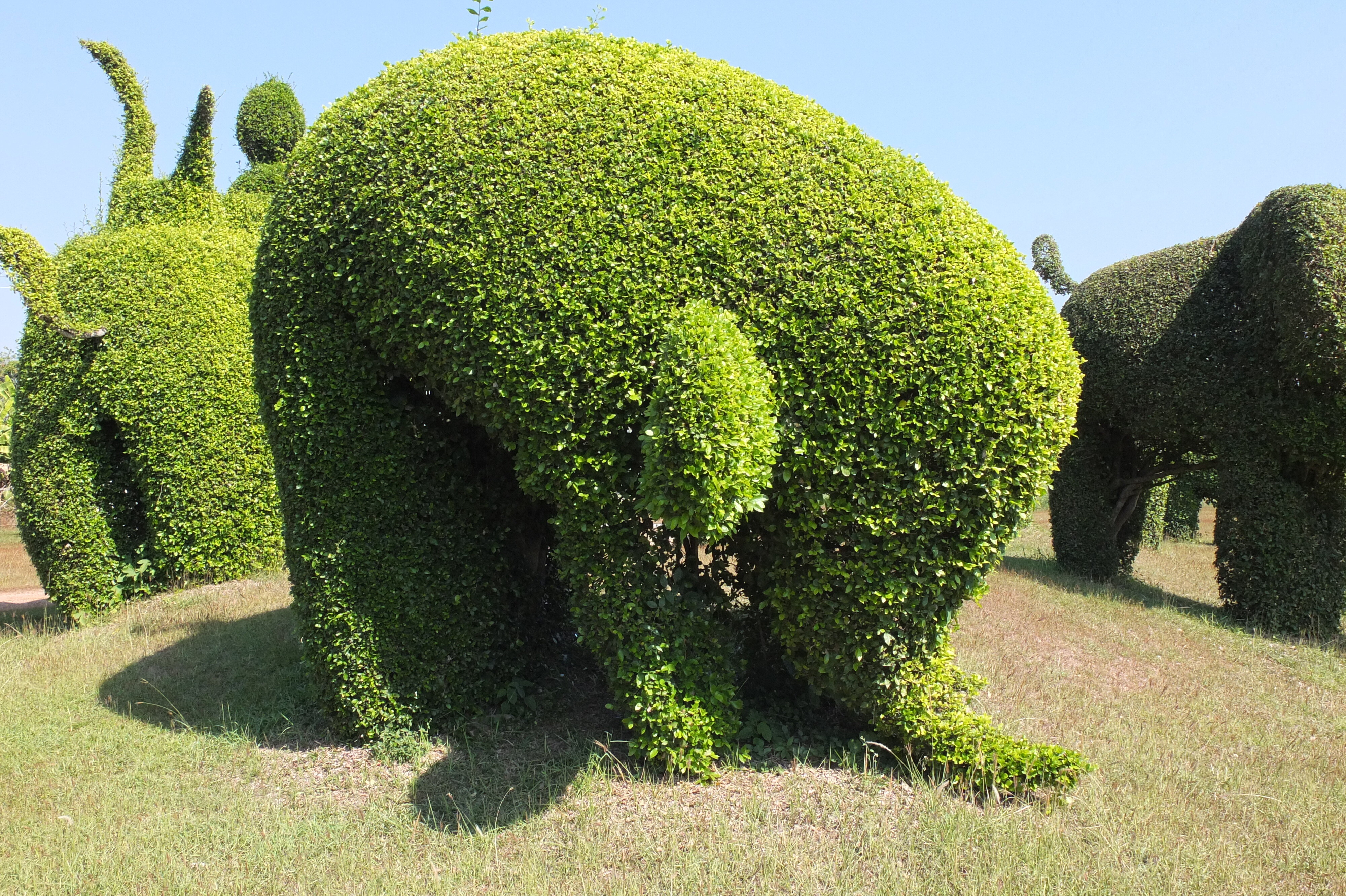 Photo Thaïlande Le Mekong 2012-12 112