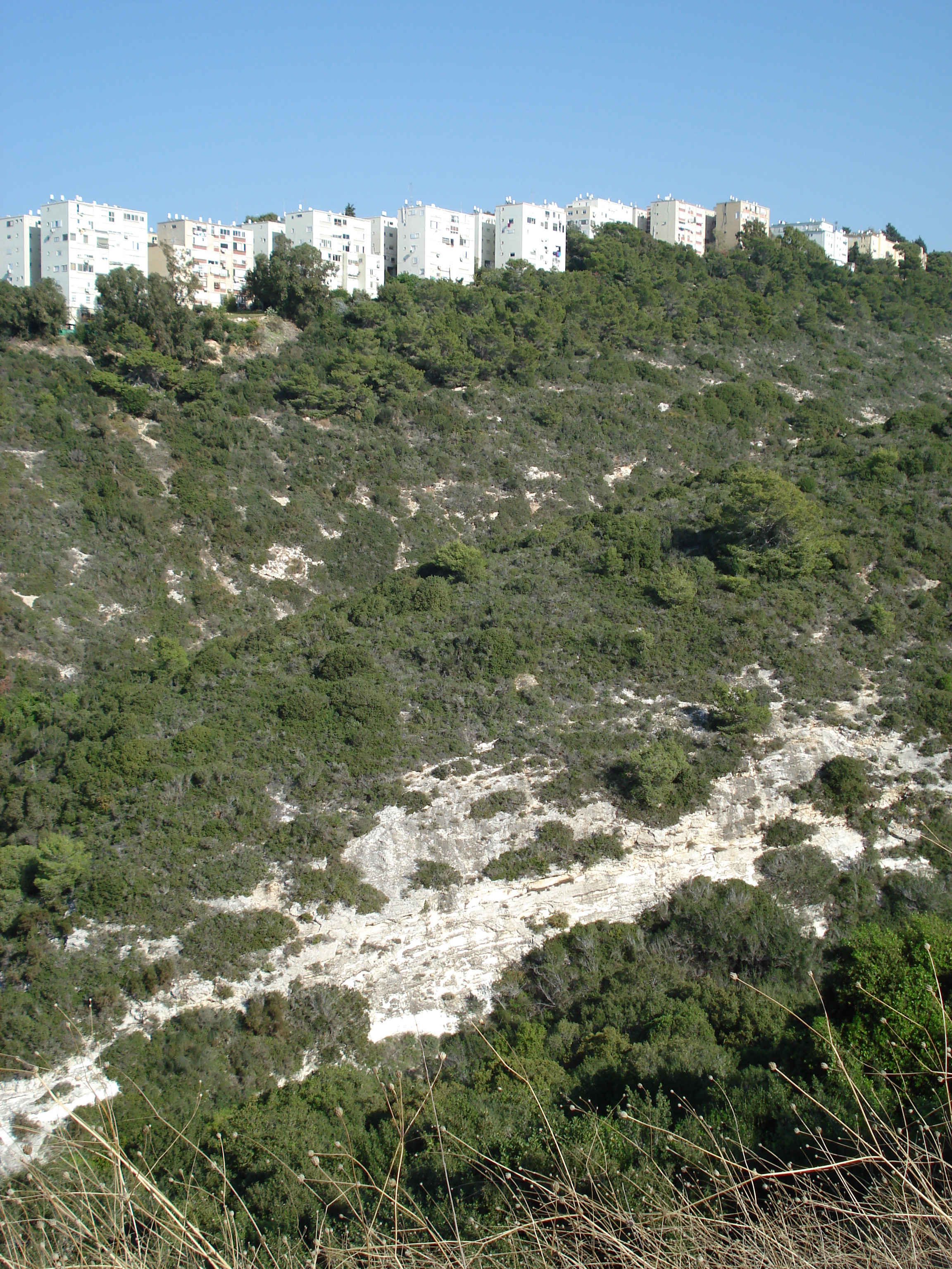 Photo Israel Haifa Carmel 2006-12 12
