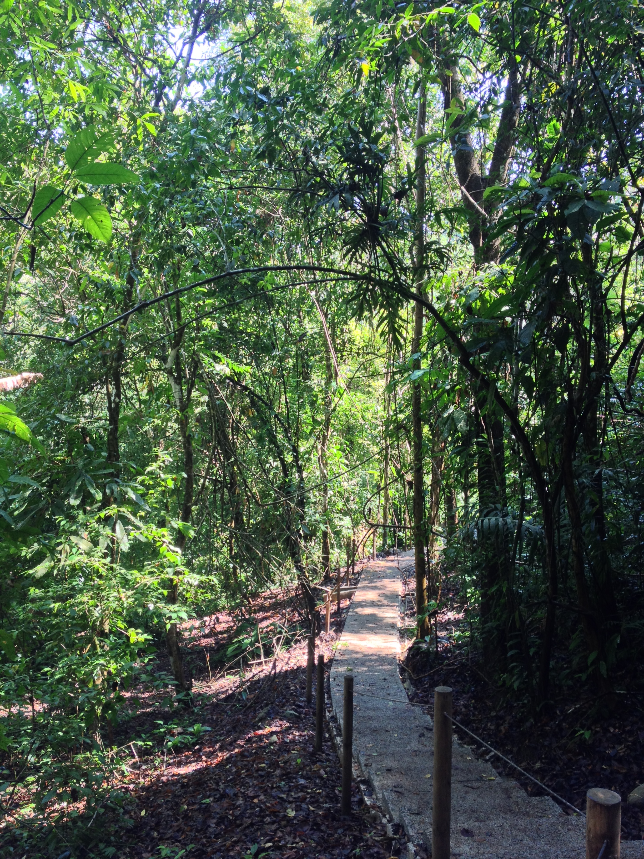 Photo Costa Rica Parc Manuel Antonio 2015-03 60