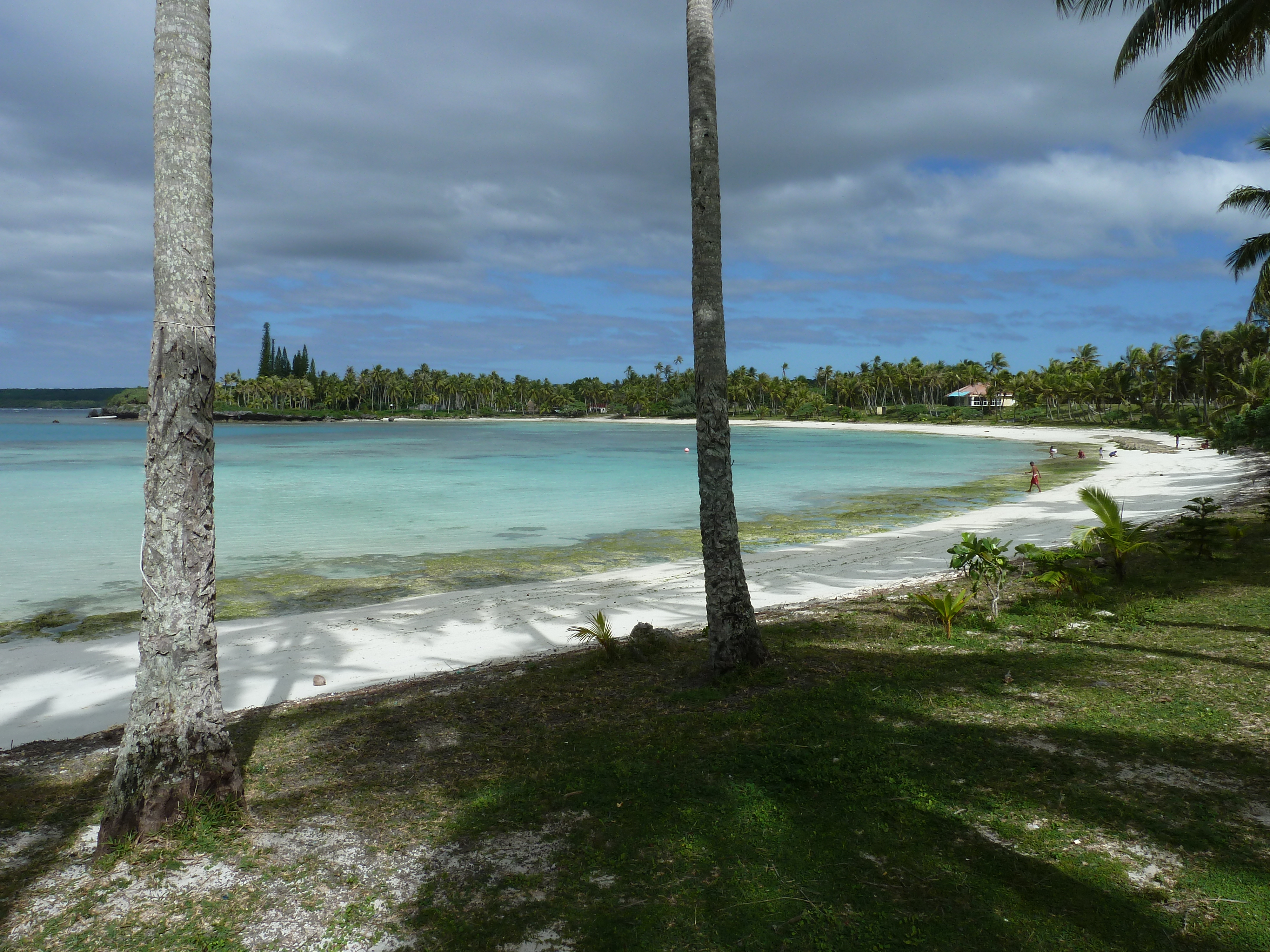 Photo Nouvelle-Calédonie Lifou Baie des tortues 2010-05 33