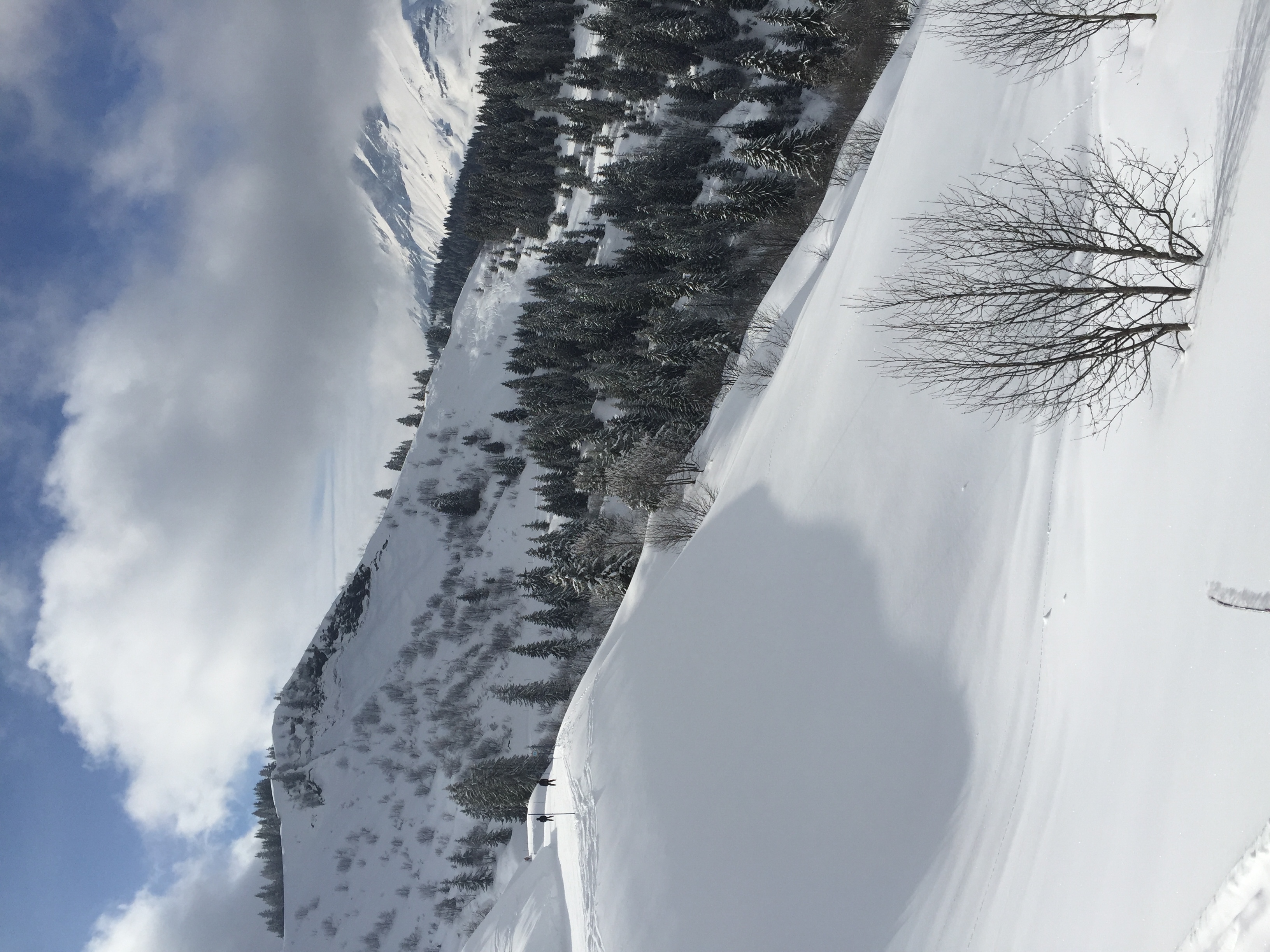 Photo France Megève 2016-02 76