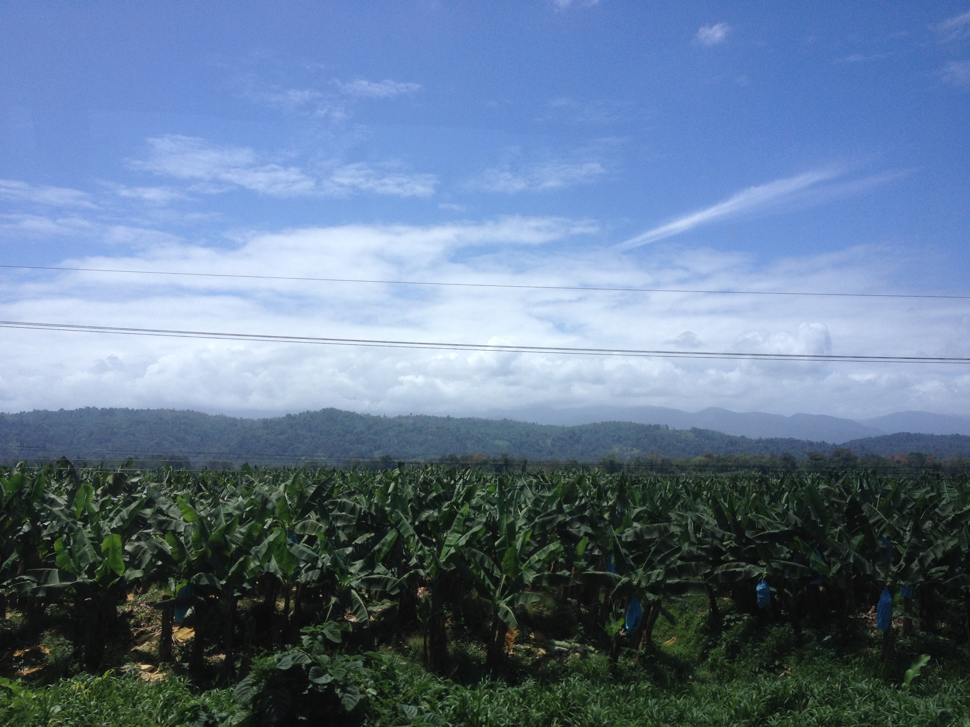 Photo Costa Rica Limon à Siquirres 2015-03 24