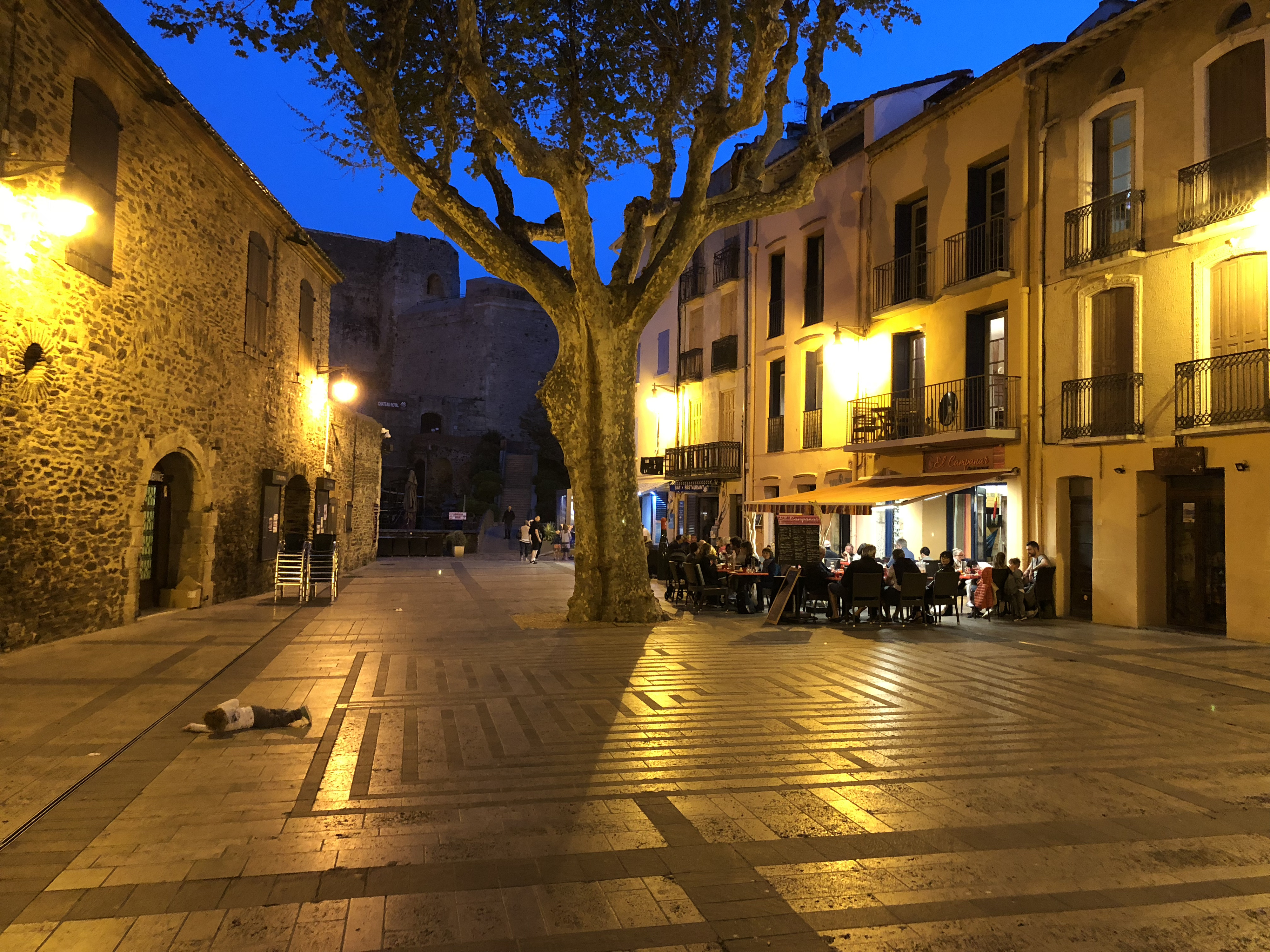 Photo France Collioure 2018-04 267