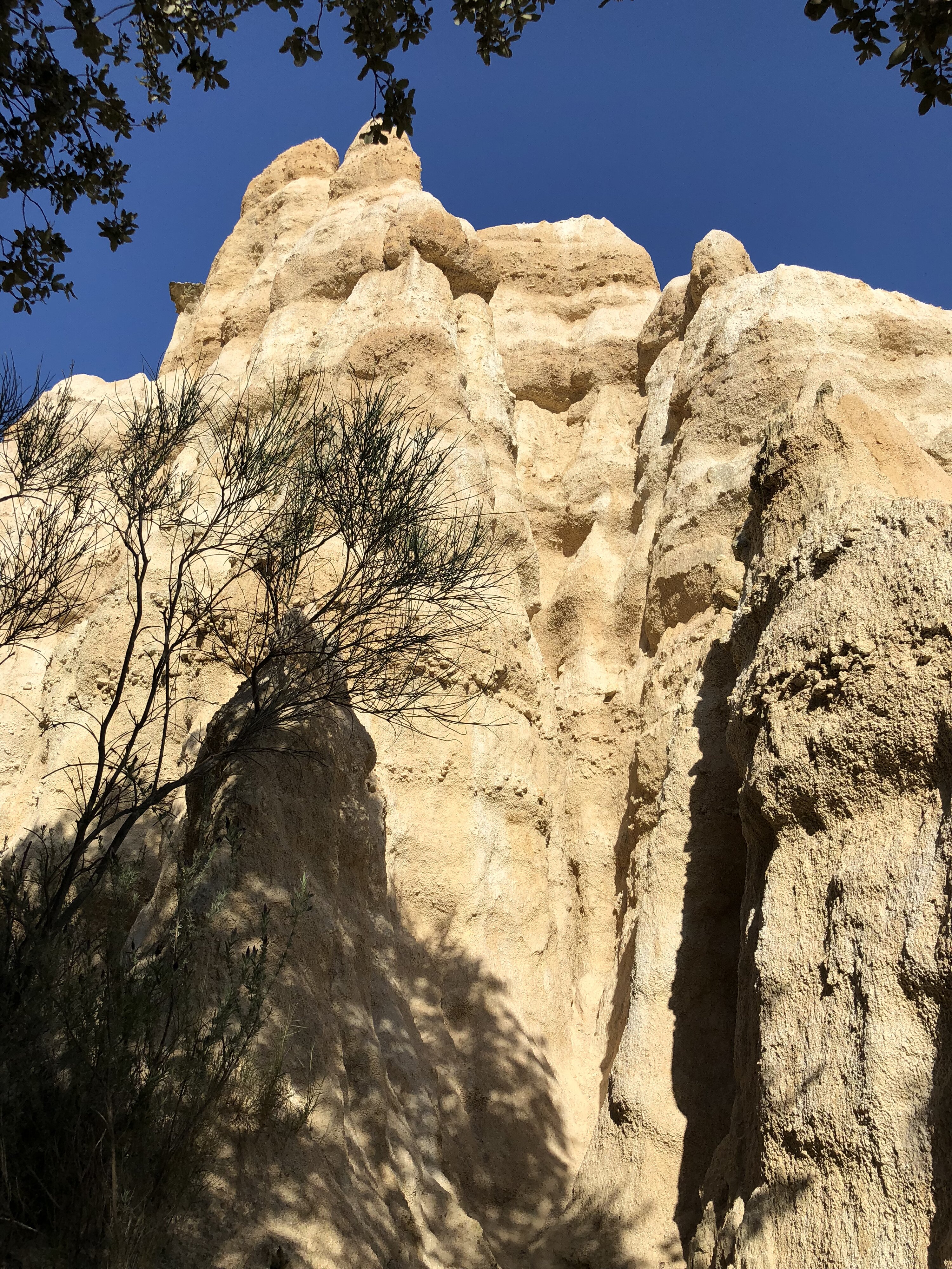 Photo France Orgues d'Ille Sur Tet 2018-04 74