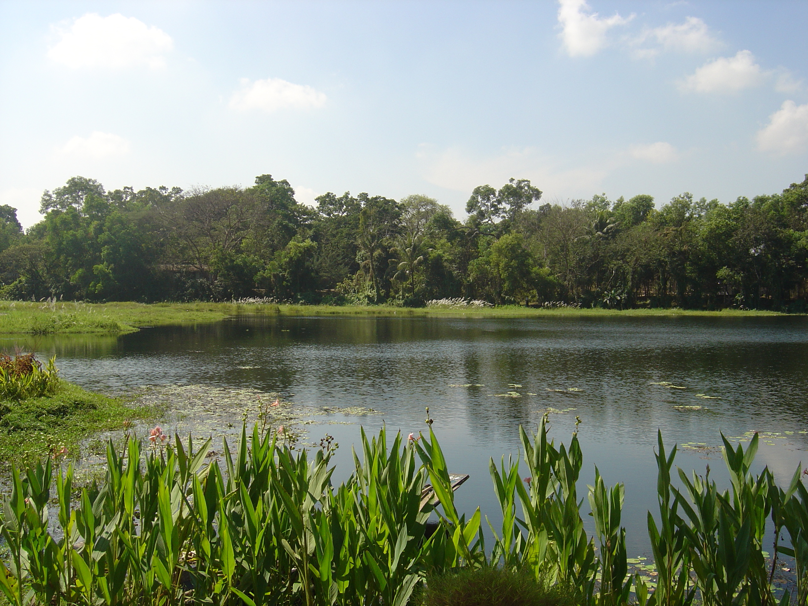 Photo Birmanie (Myanmar) Rangoun Hotel Dusit Inya Lake 2005-01 20