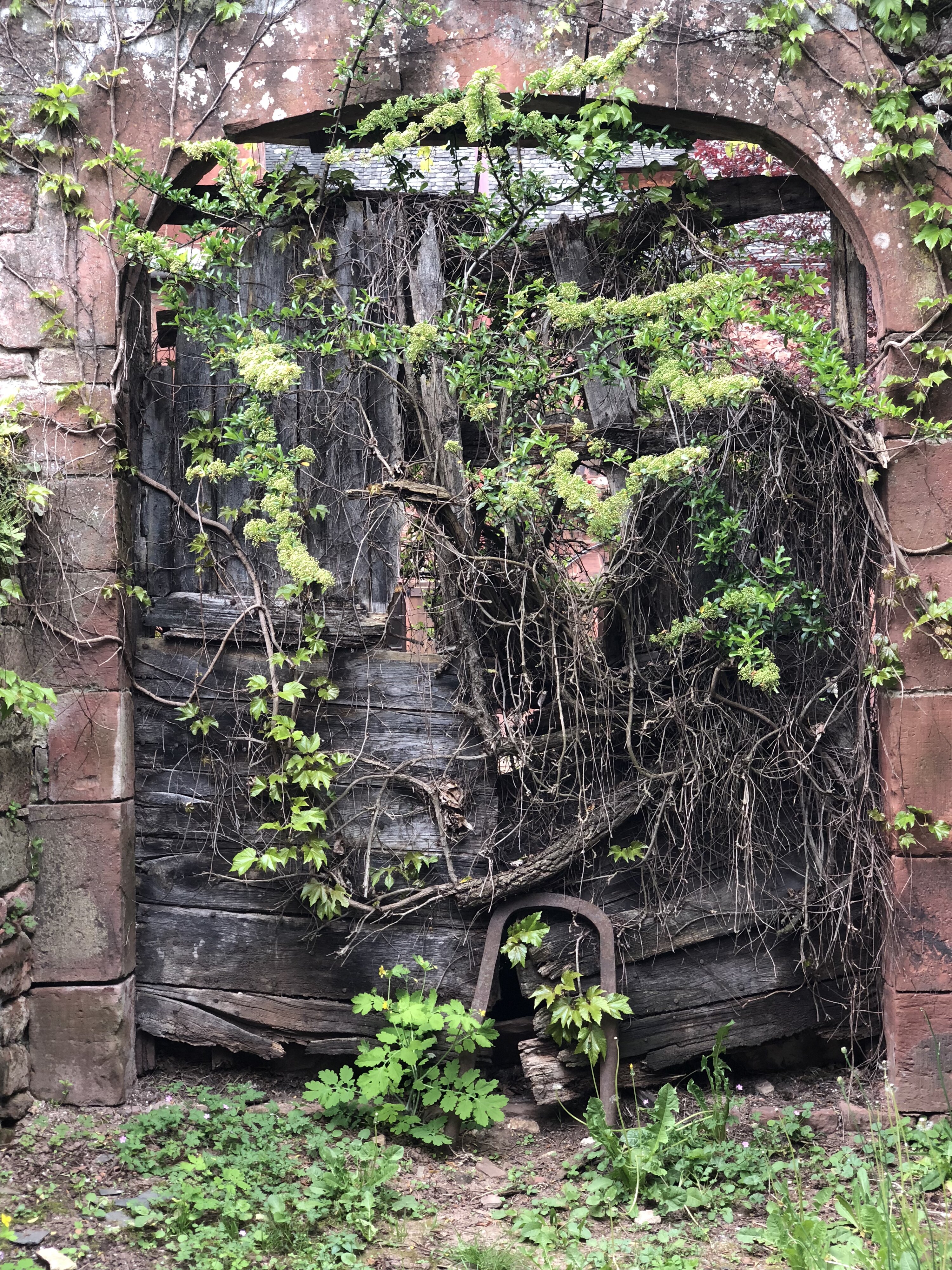 Photo France Collonges la Rouge 2018-04 18