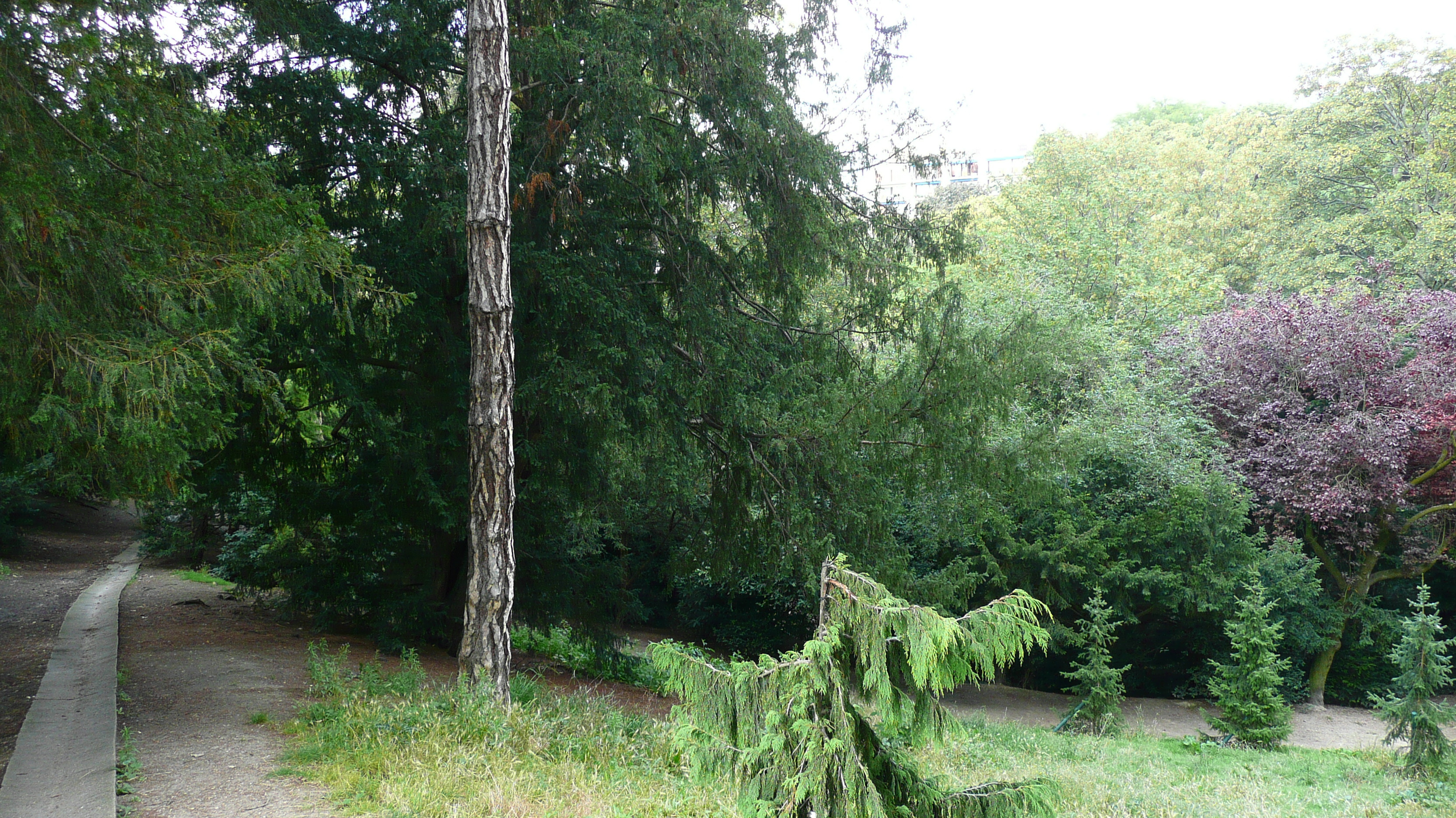 Photo France Paris Parc des Buttes-Chaumont 2007-08 24