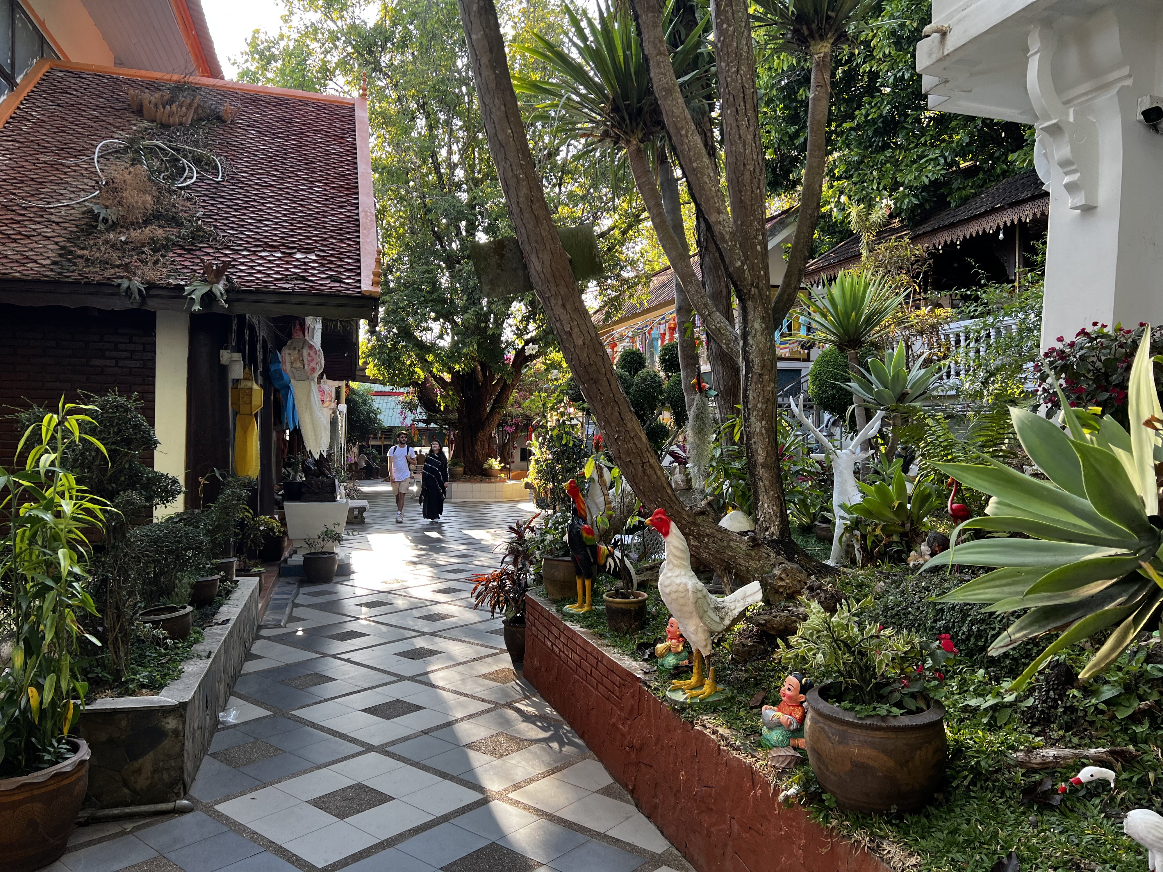 Photo Thaïlande Chiang Mai Doi Suthep 2024-01 27