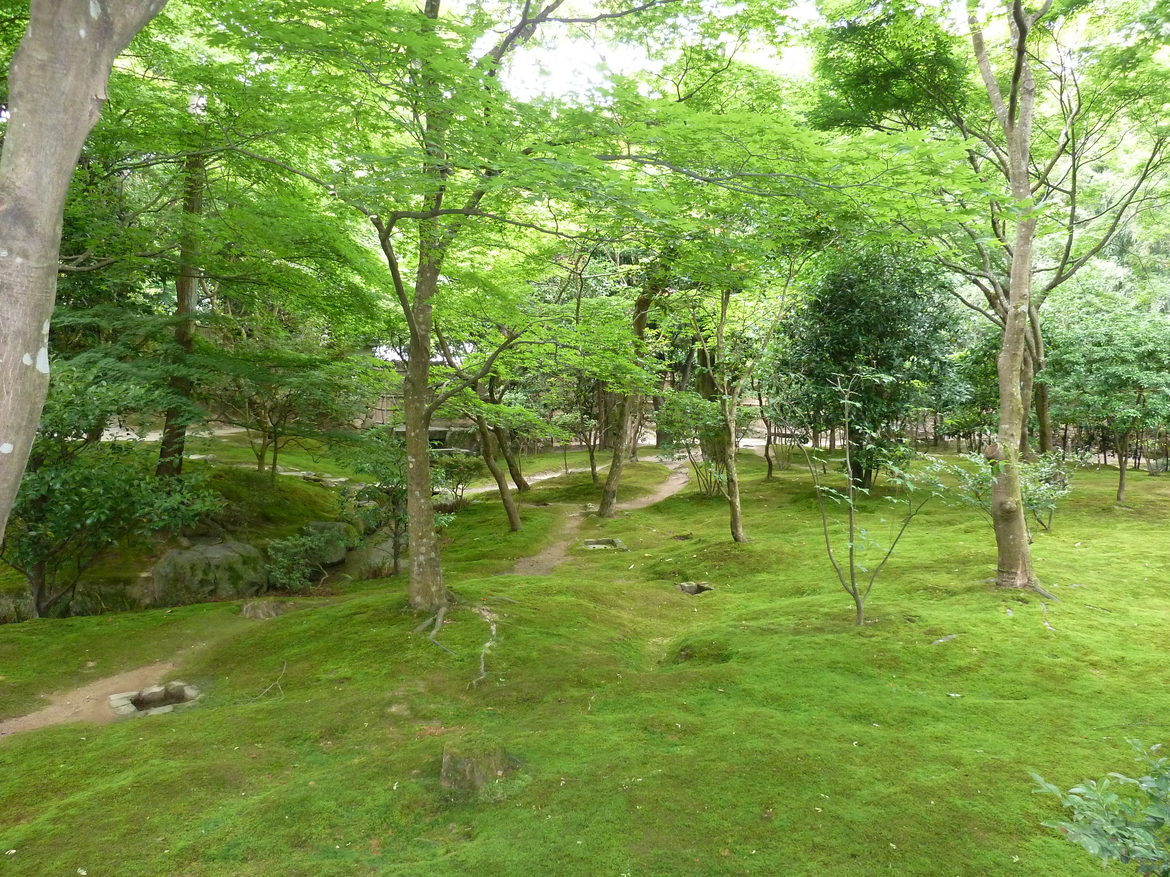 Photo Japon Kyoto Temple Ginkaku-ji (Pavillon d'argent) 2010-06 80