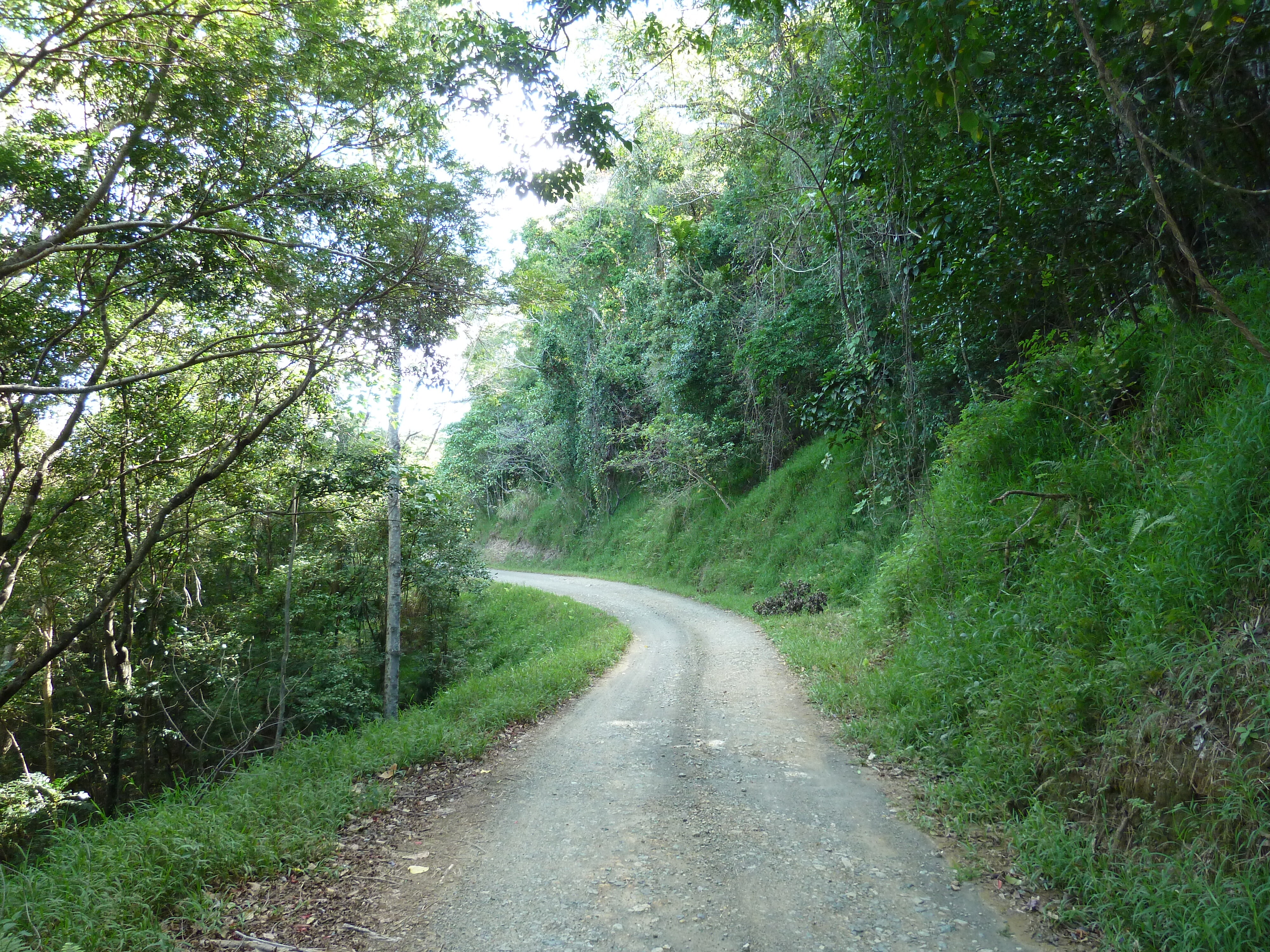 Photo Nouvelle-Calédonie route de Thio à Canala 2010-05 59