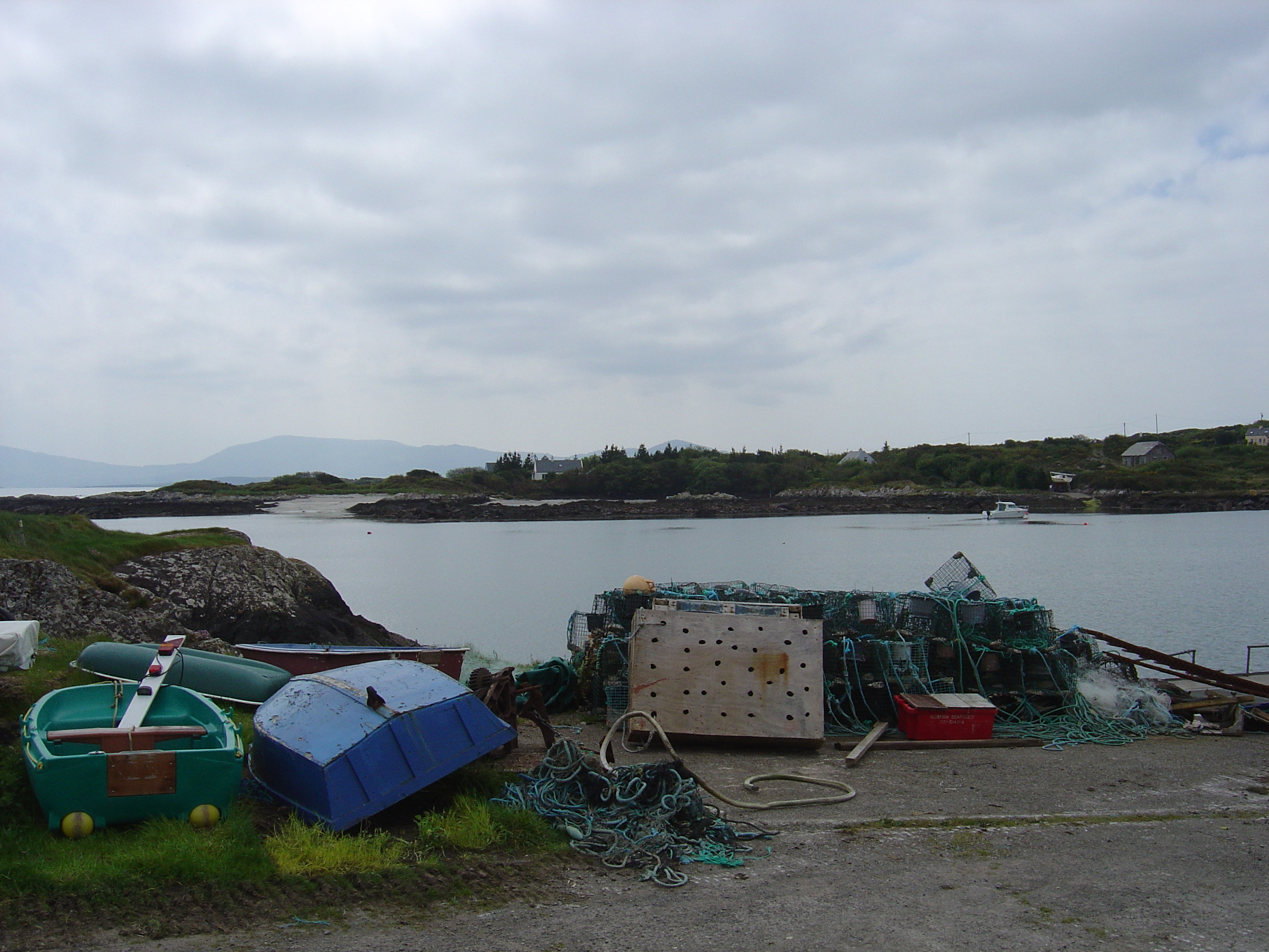 Photo Irlande Kerry Parknasilla 2004-05 45