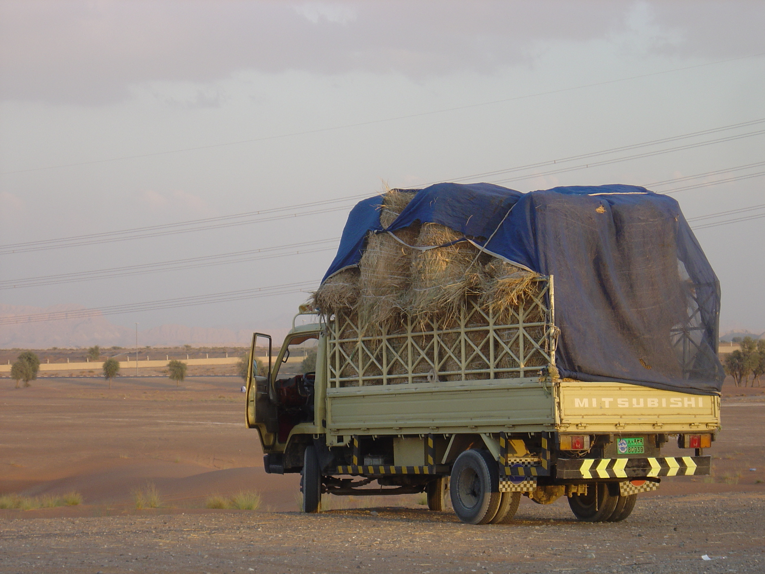 Photo Émirats arabes unis Al Ain Desert 2005-11 15