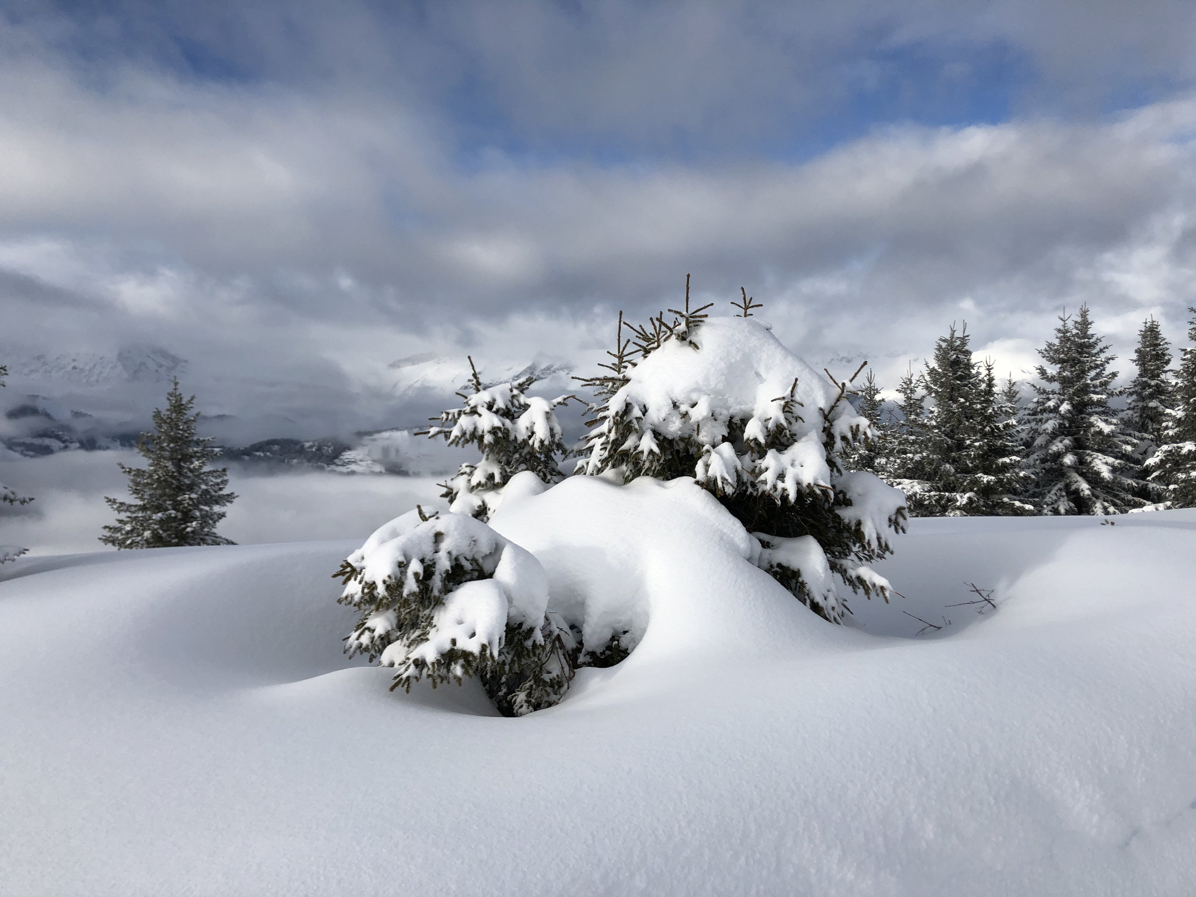 Photo France Praz sur Arly 2019-12 213