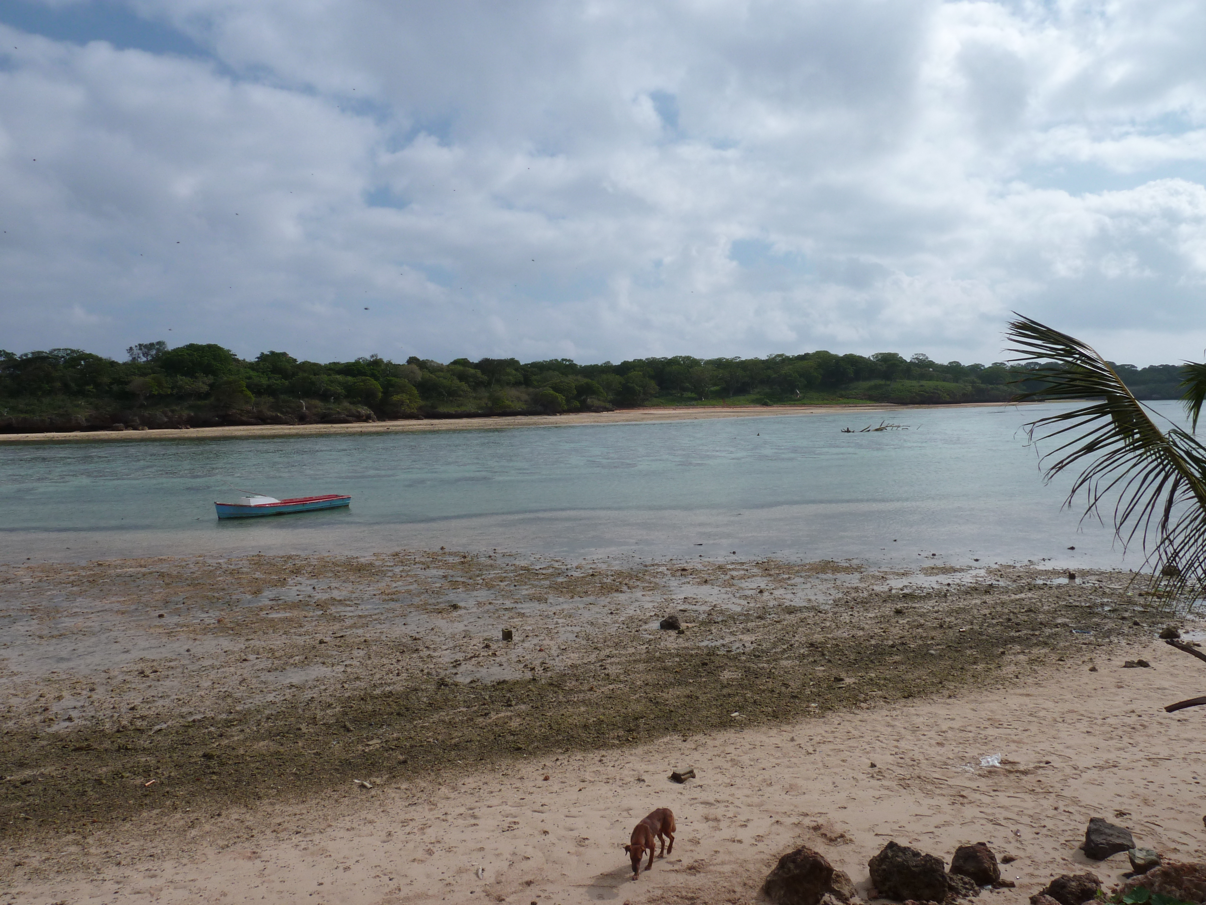 Photo Îles Fidji Nadi à Natadola 2010-05 70