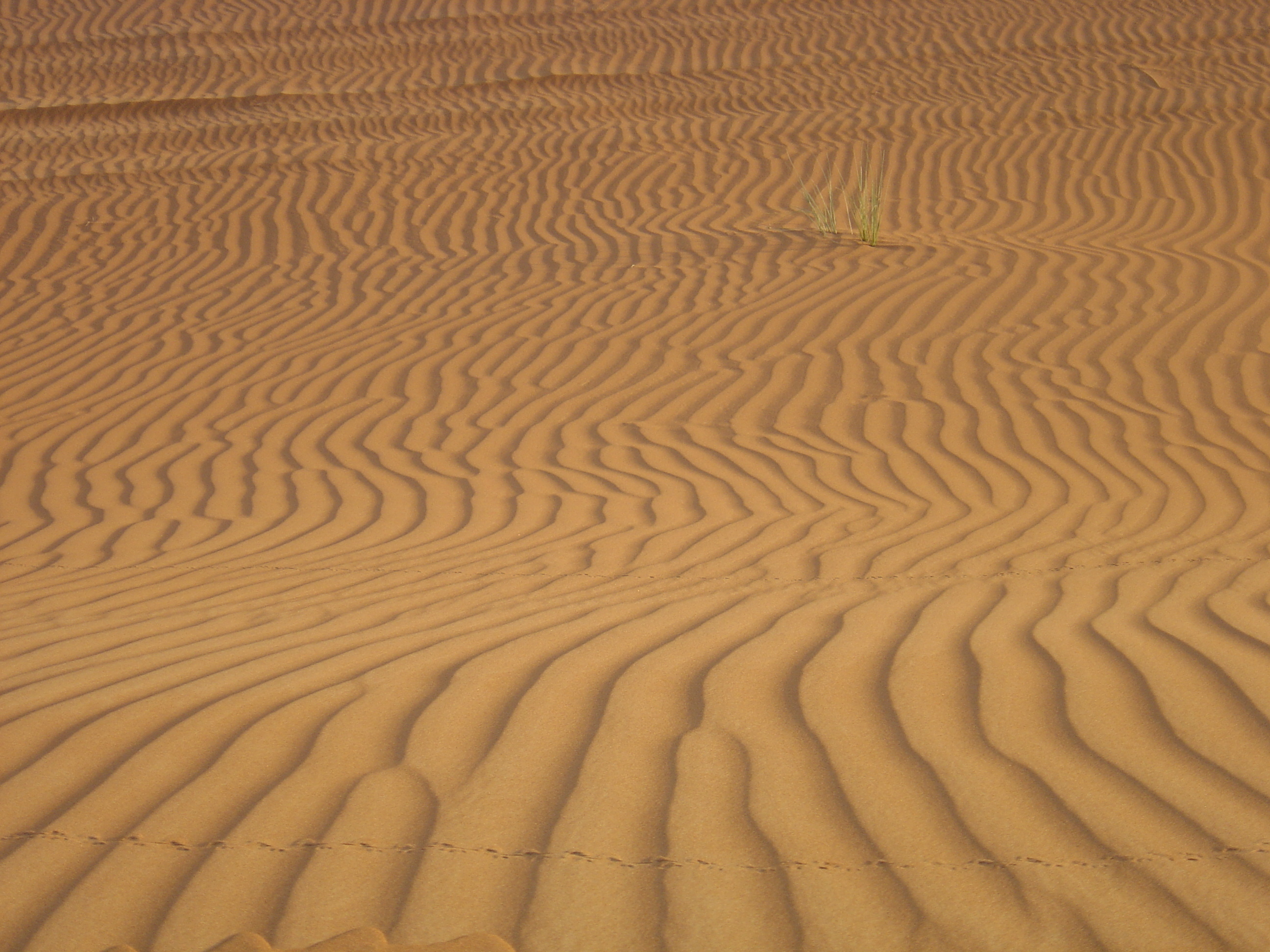 Photo Émirats arabes unis Al Ain Desert 2005-11 4