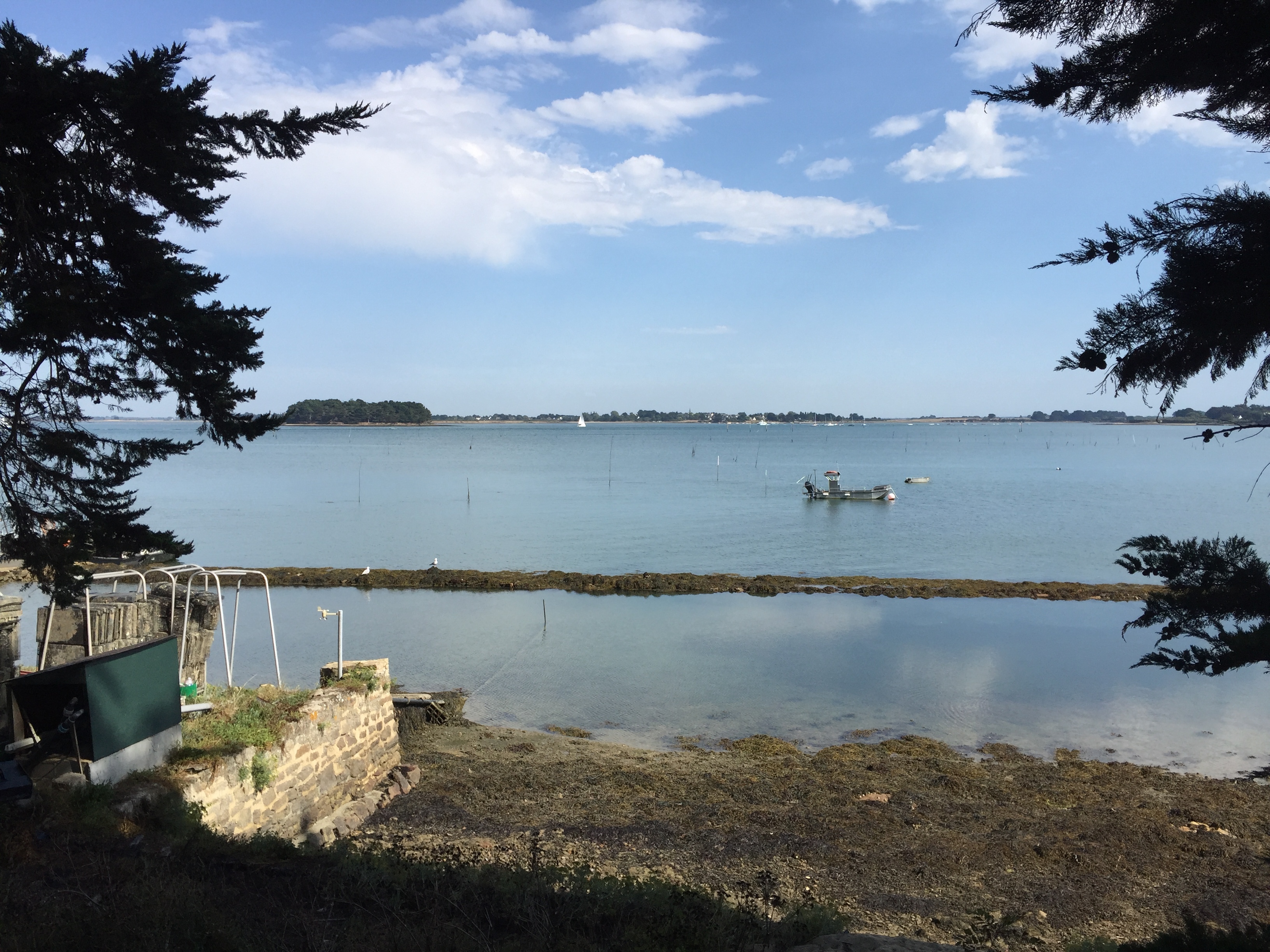 Photo France Île-aux-Moines 2016-08 54
