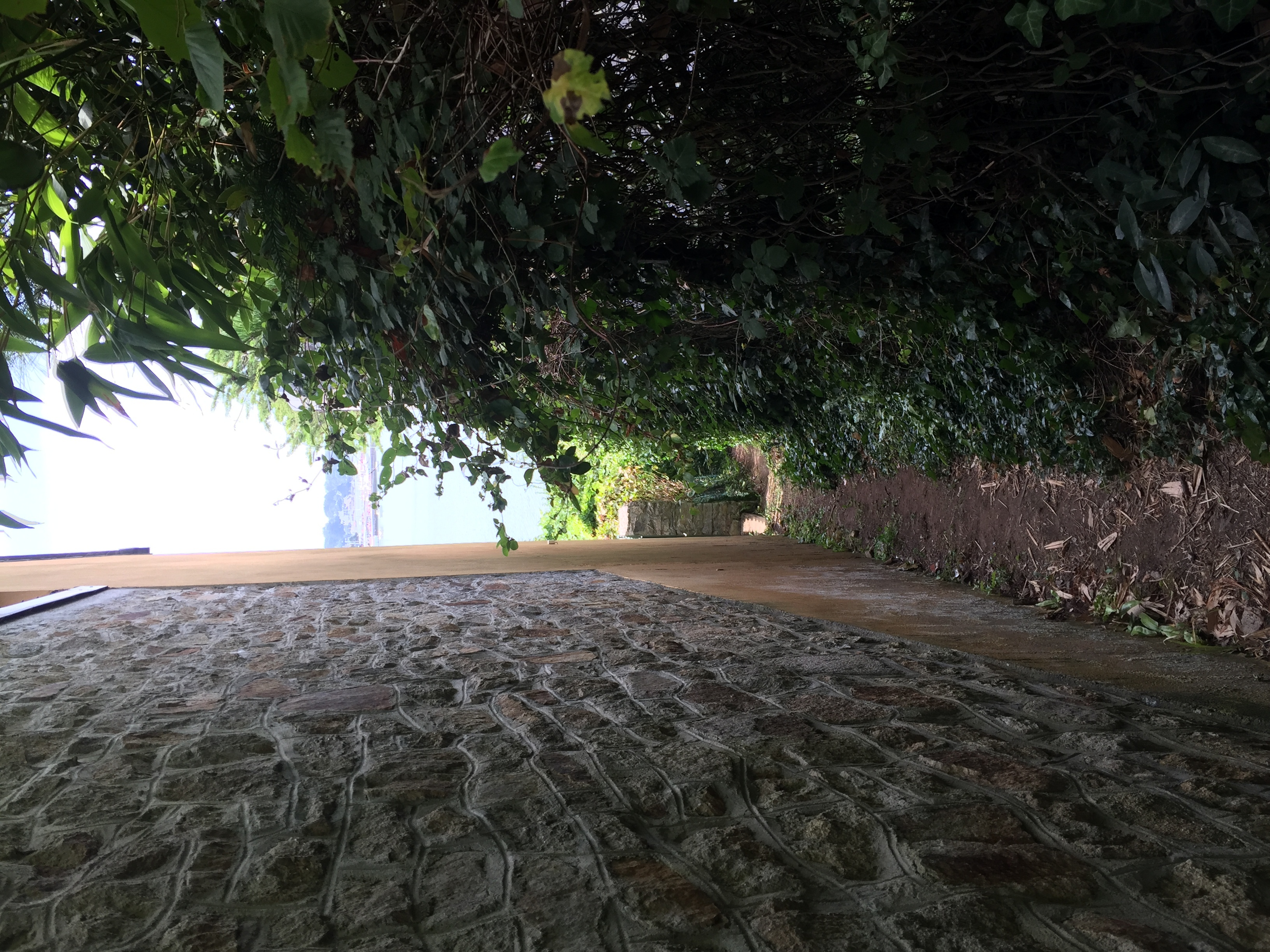 Photo France Île-aux-Moines 2016-08 49