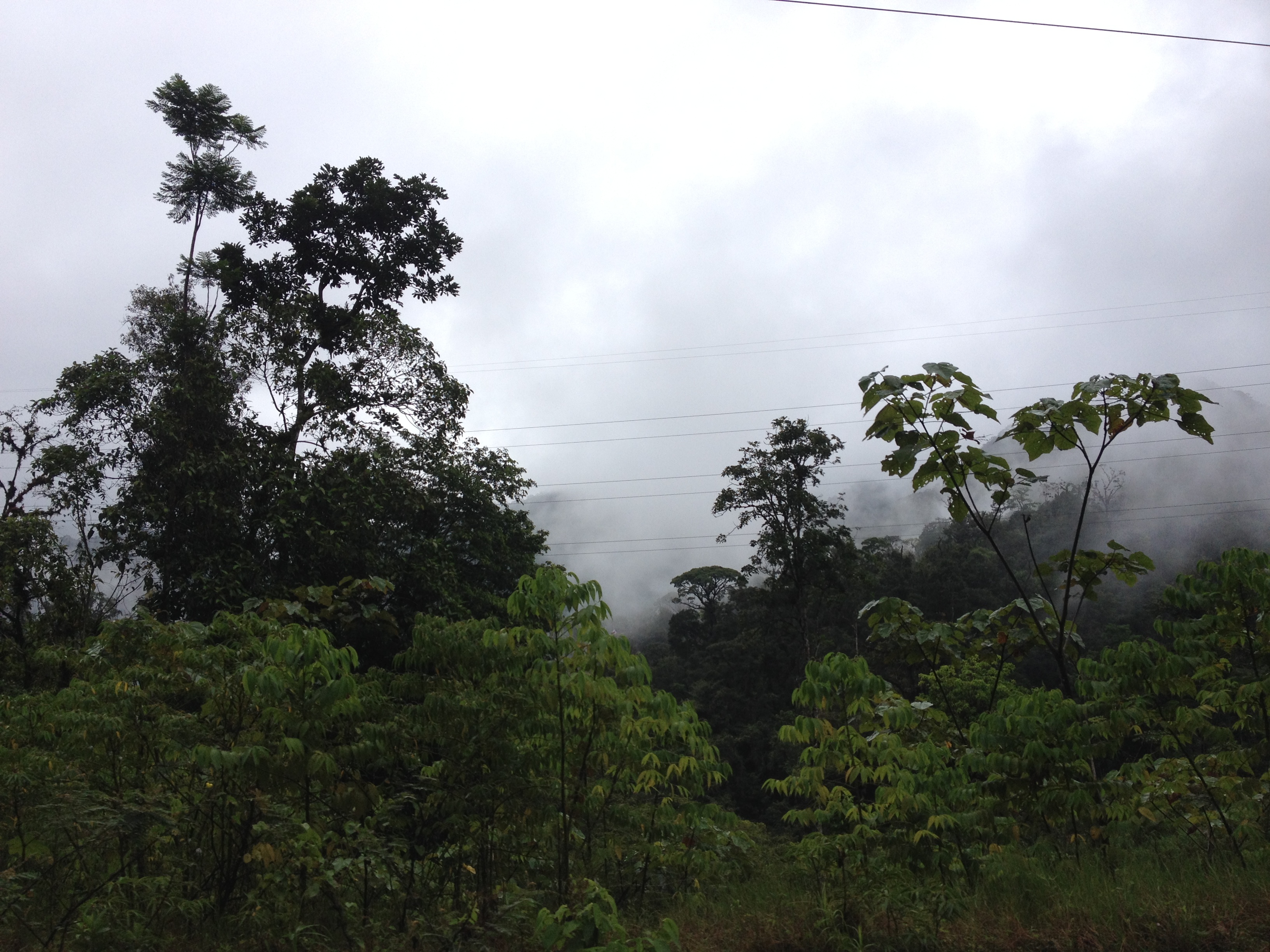 Photo Panama David à Bocas del toro 2015-03 56
