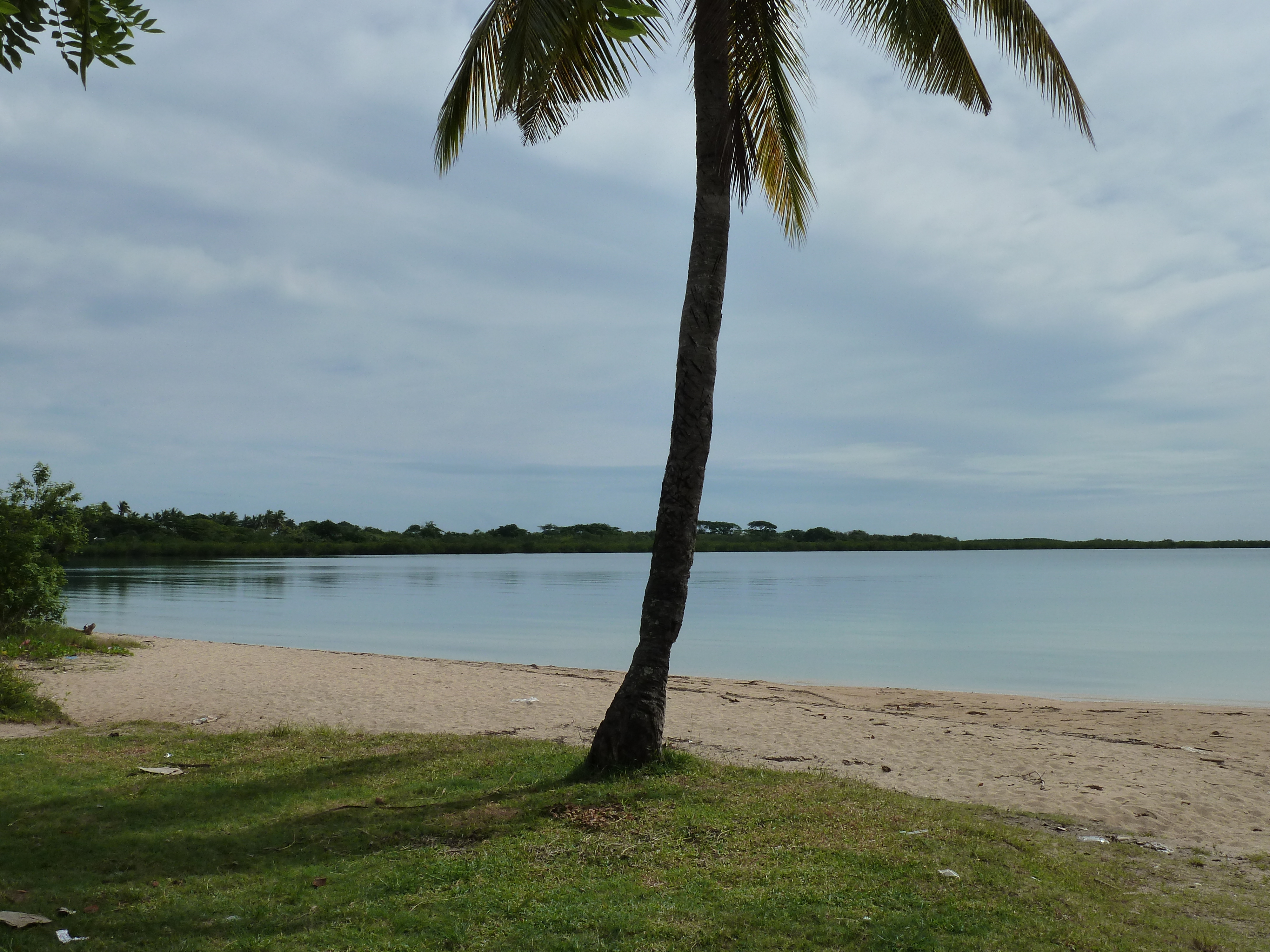 Photo Îles Fidji Viseisei 2010-05 20