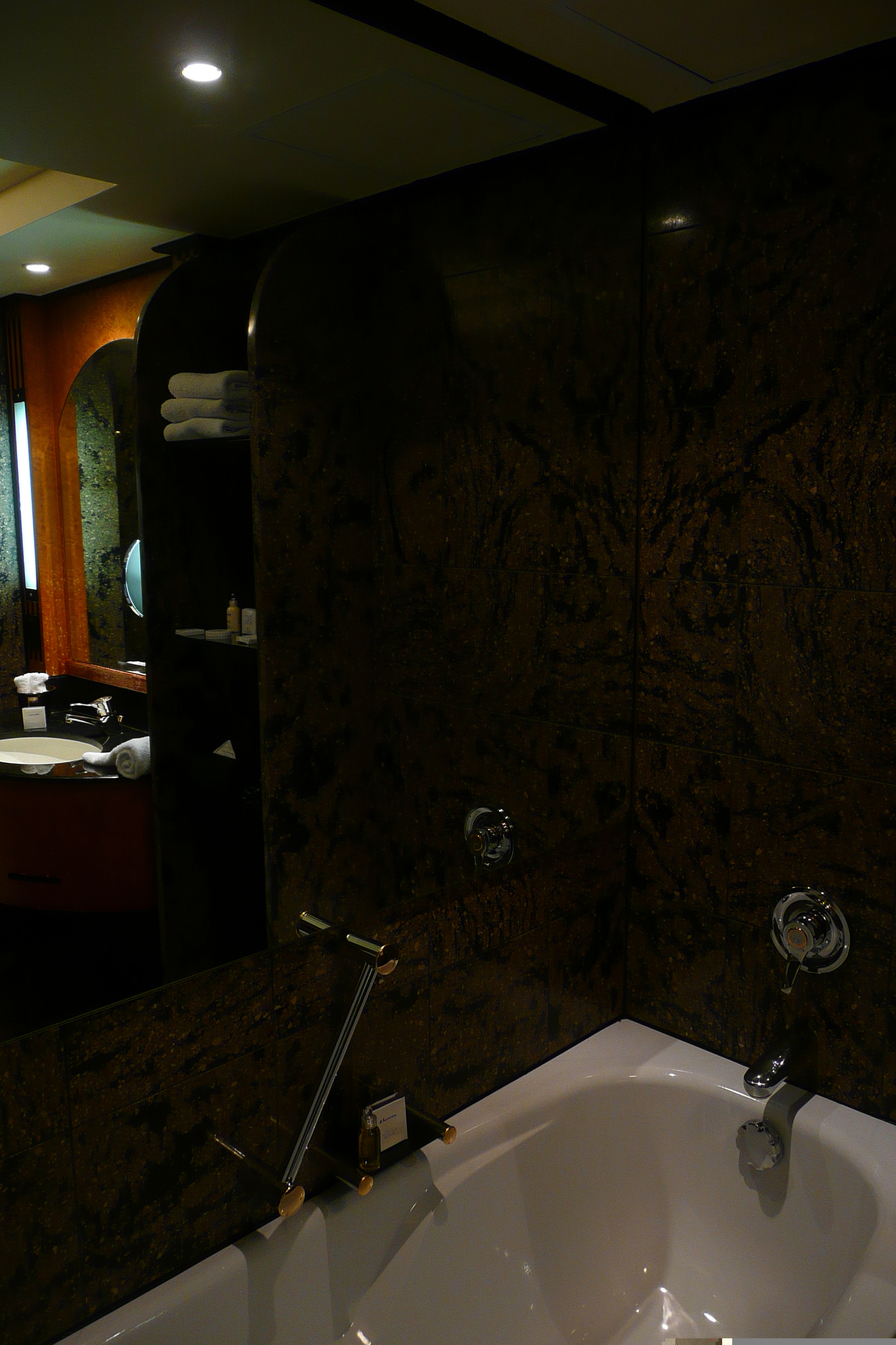 Photo Afrique du Sud Johannesbourg Hotel Intercontinental 2008-09 21