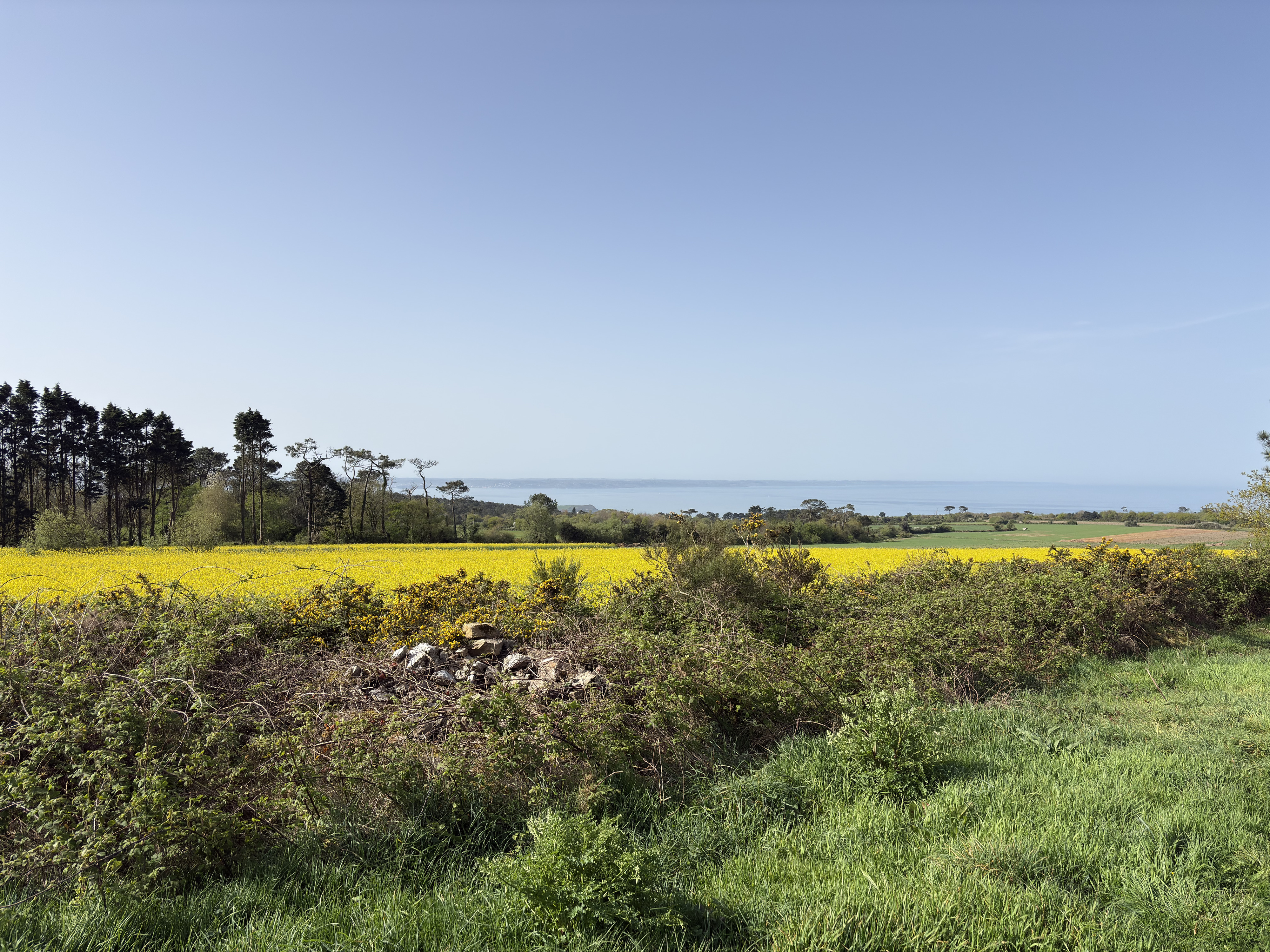 Photo France Crozon 2026-04 76