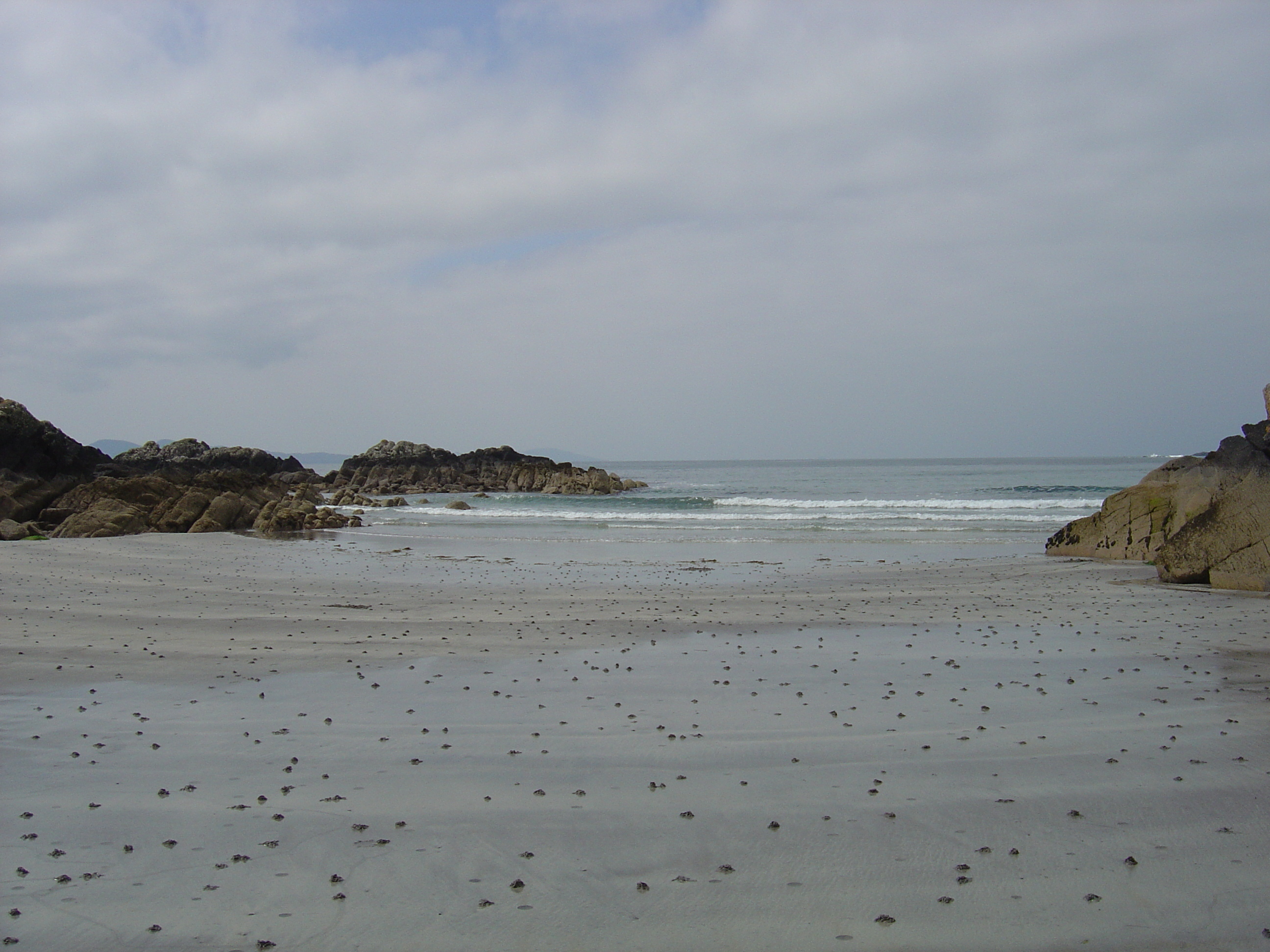 Photo Irlande Kerry Parknasilla 2004-05 32