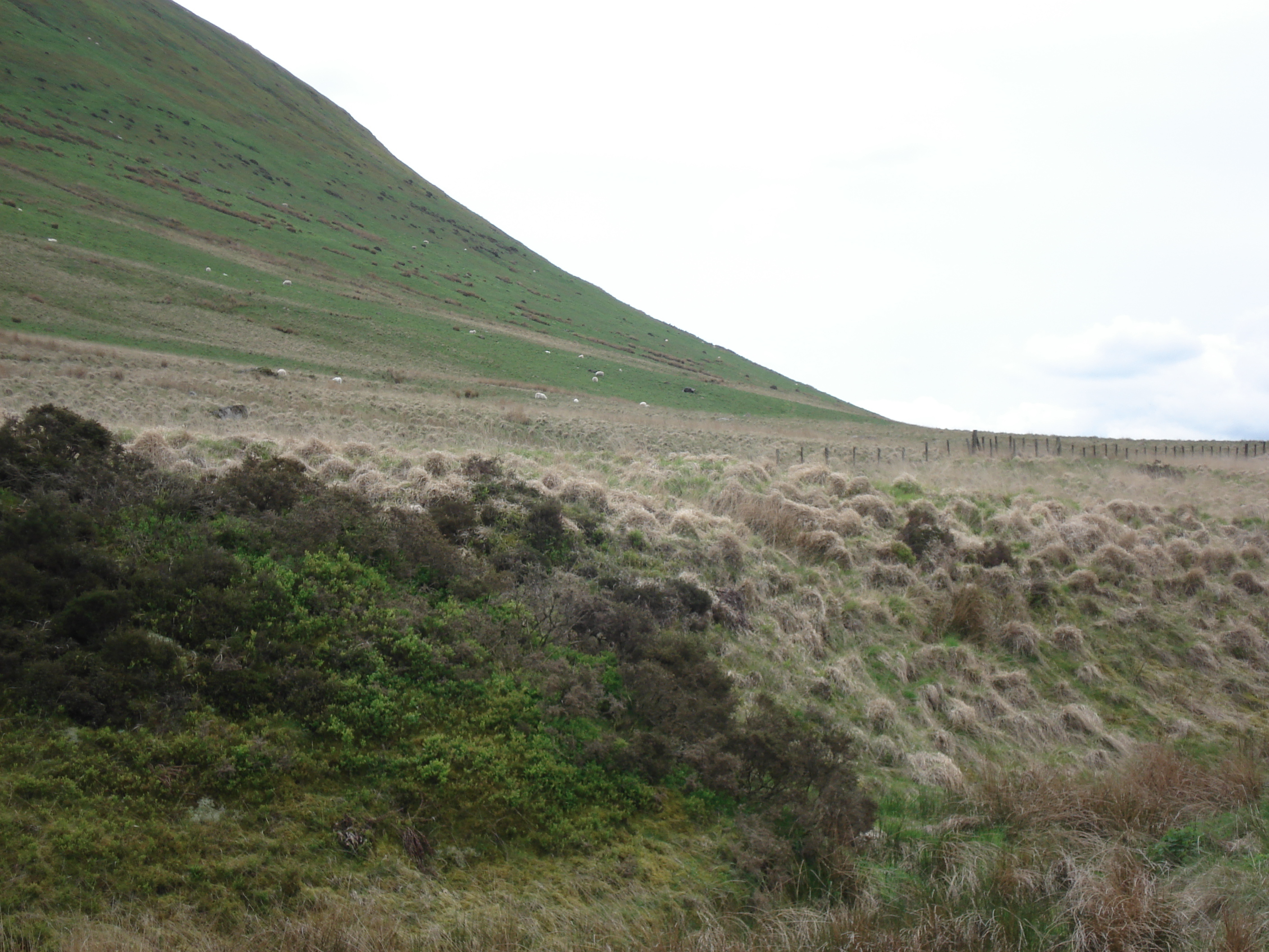 Photo Royaume-Uni Parc national des Brecon Beacons 2006-05 82