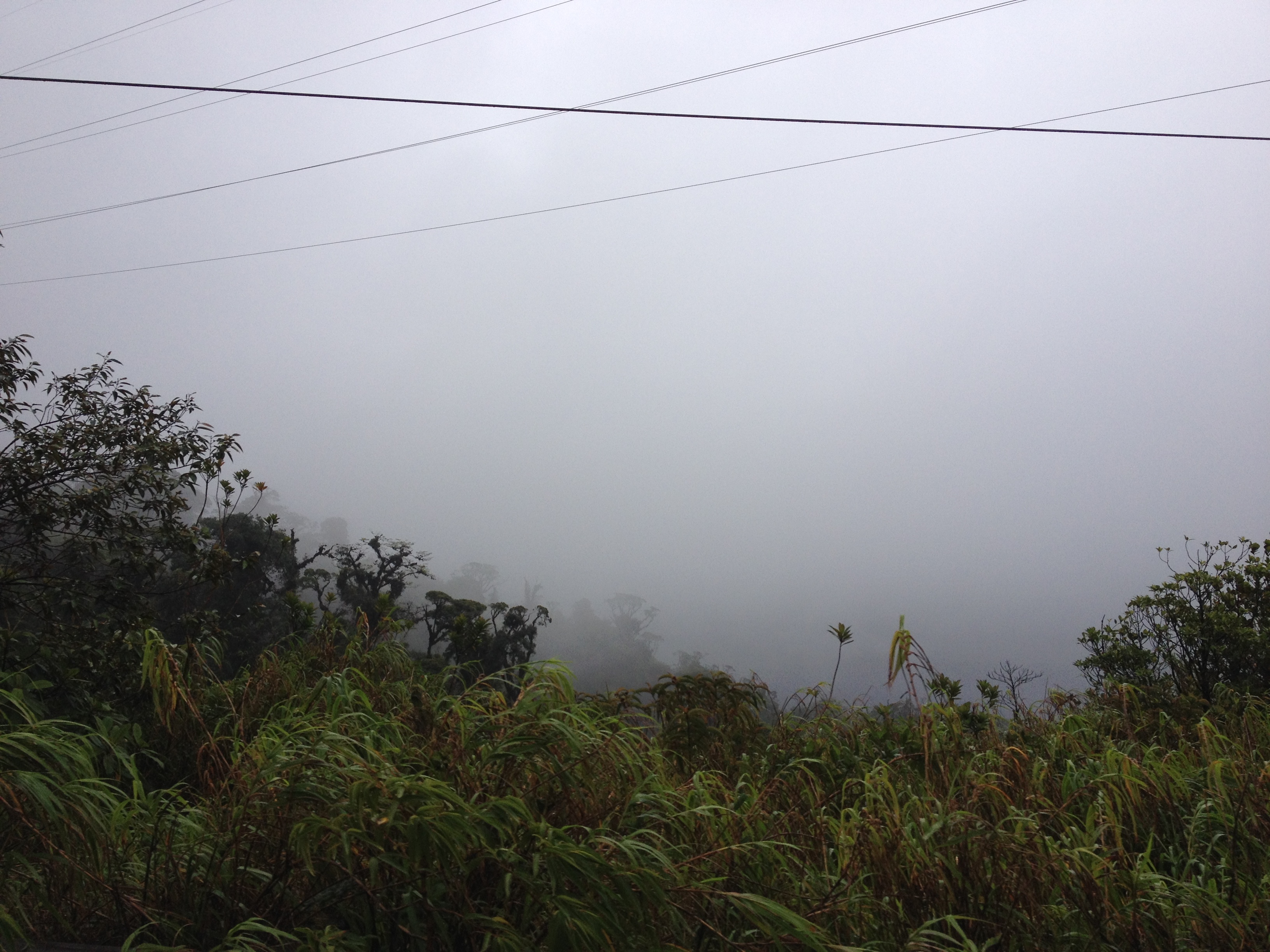 Photo Panama David à Bocas del toro 2015-03 71