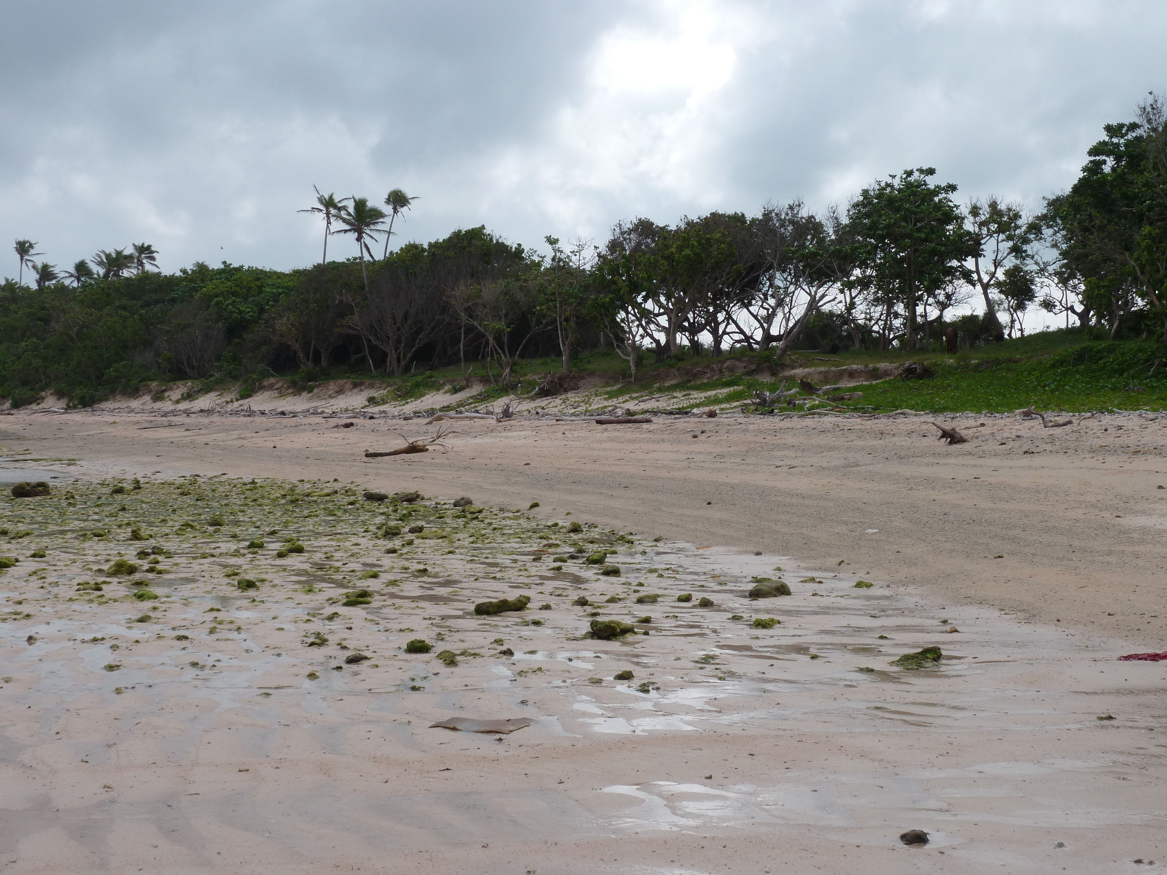 Photo Îles Fidji Nadi à Natadola 2010-05 44