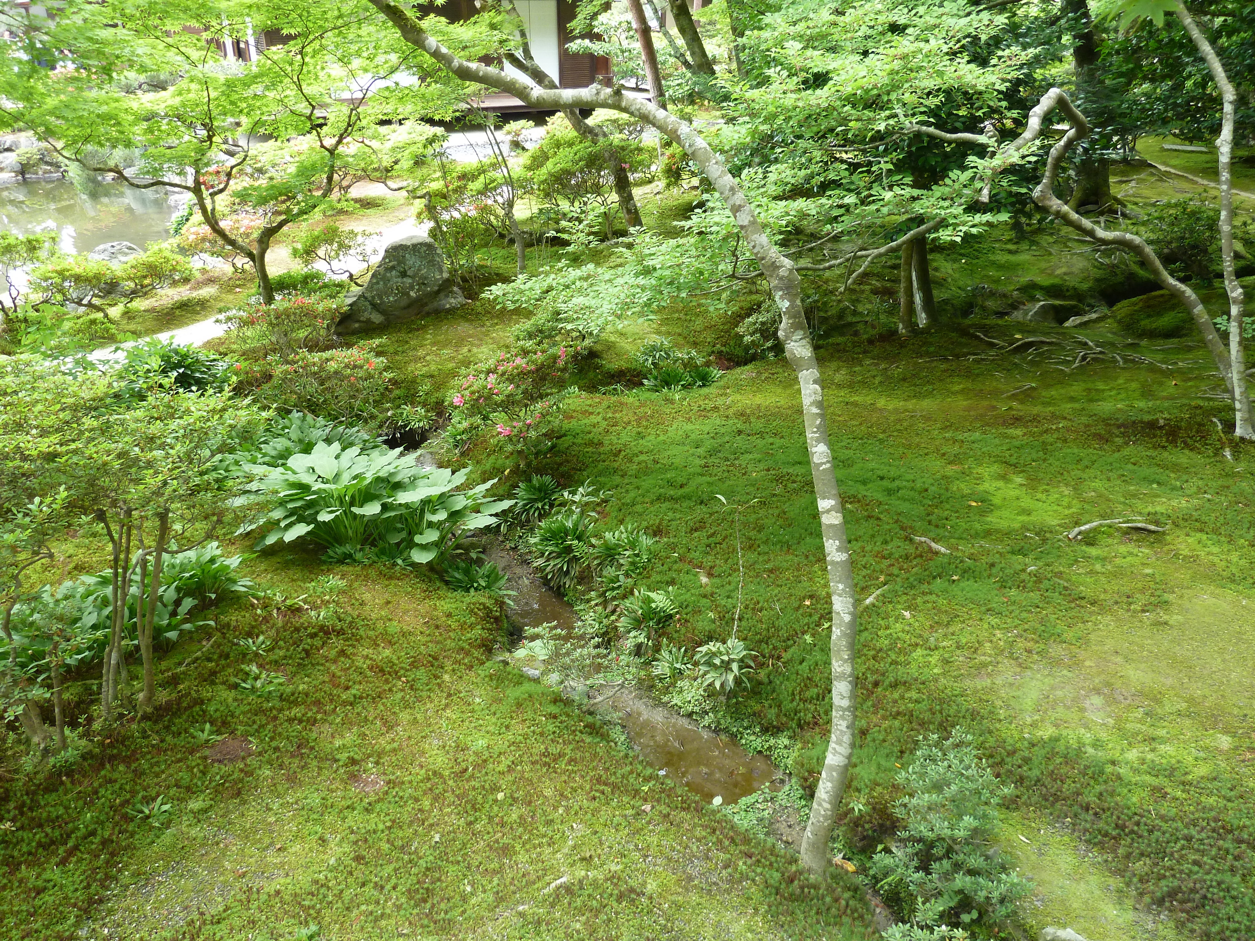 Photo Japon Kyoto Temple Ginkaku-ji (Pavillon d'argent) 2010-06 32