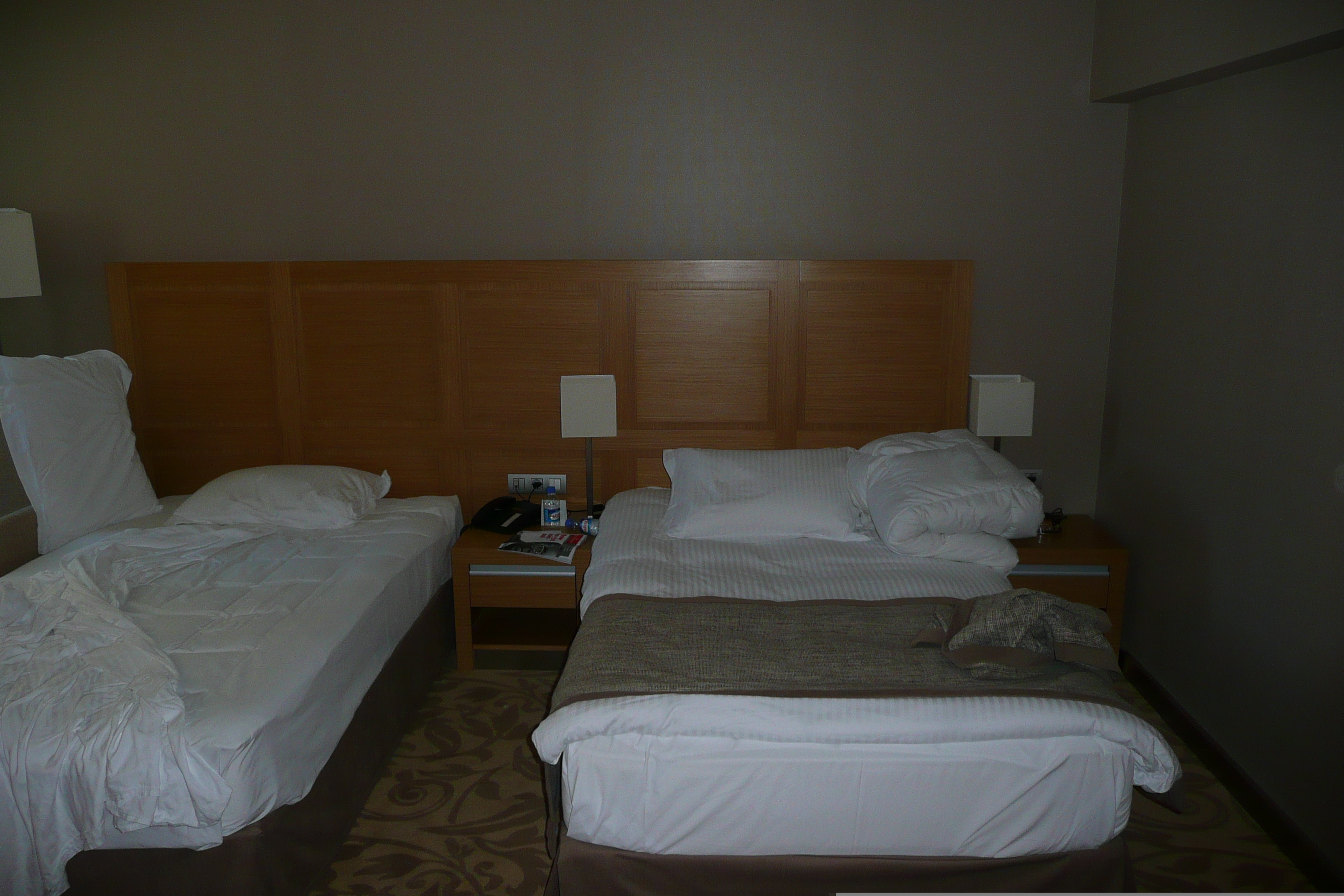 Photo Turquie Ankara Hotel Bilkent 2008-07 8