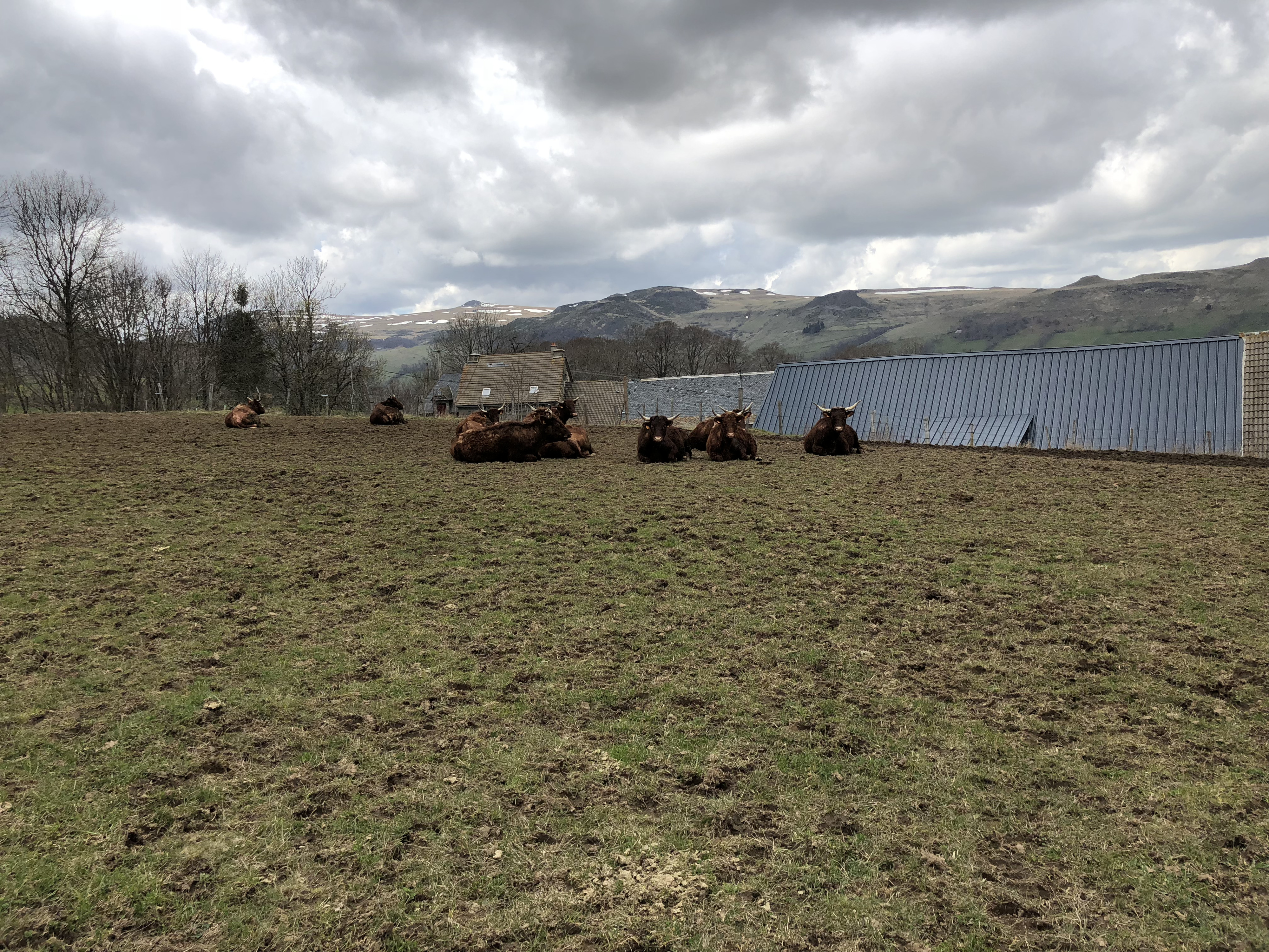 Photo France Dienne 2018-04 12
