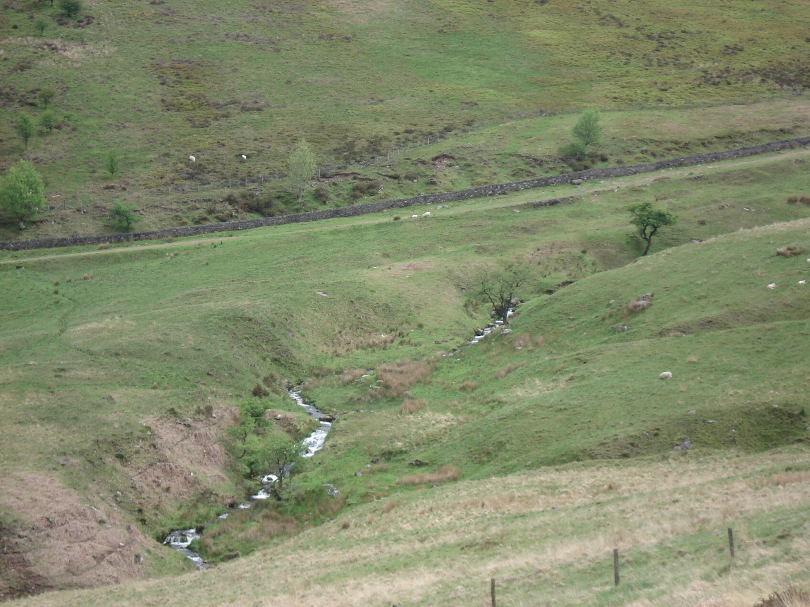 Photo Royaume-Uni Parc national des Brecon Beacons 2006-05 98