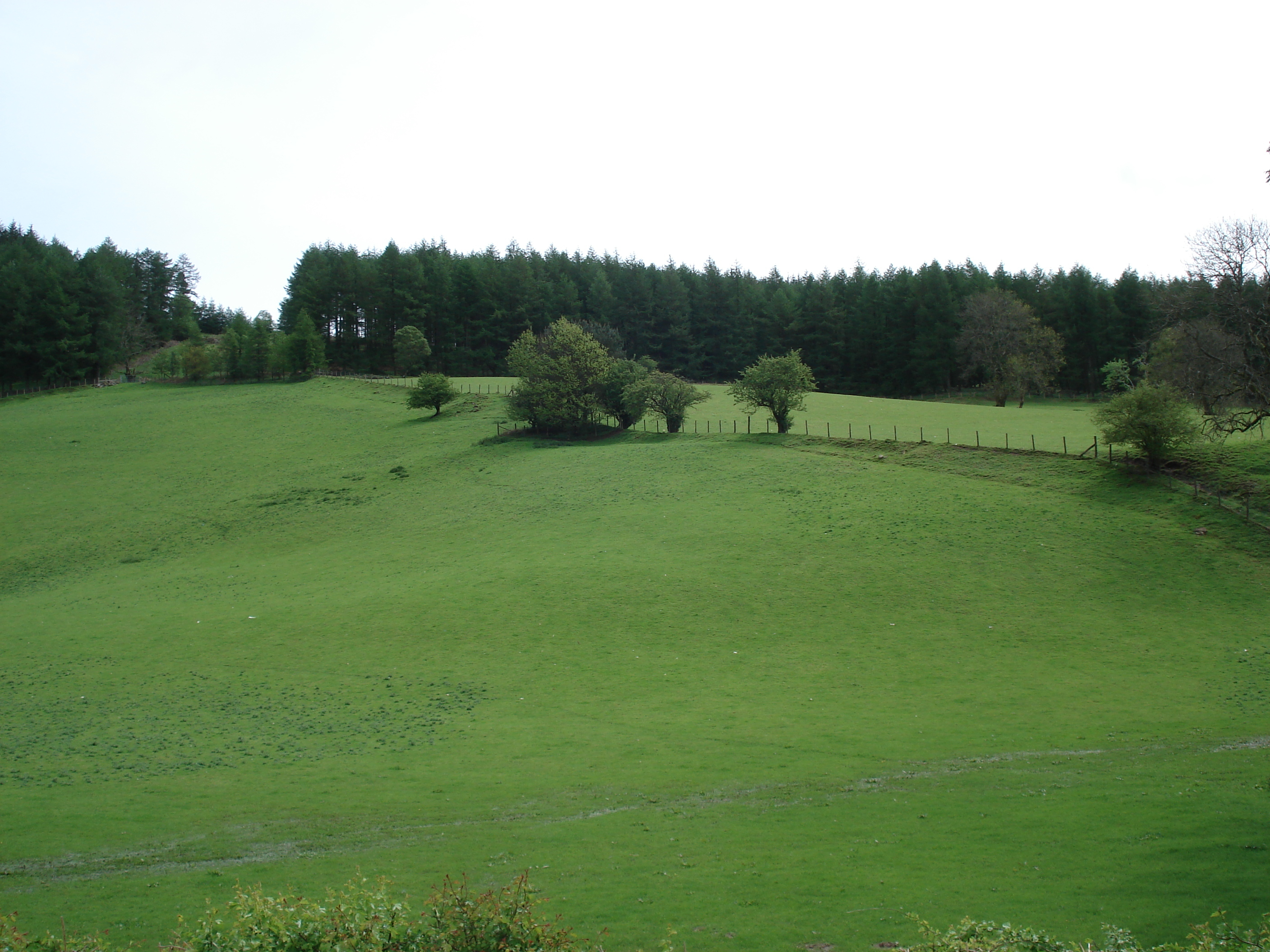 Photo Royaume-Uni Parc national des Brecon Beacons 2006-05 10