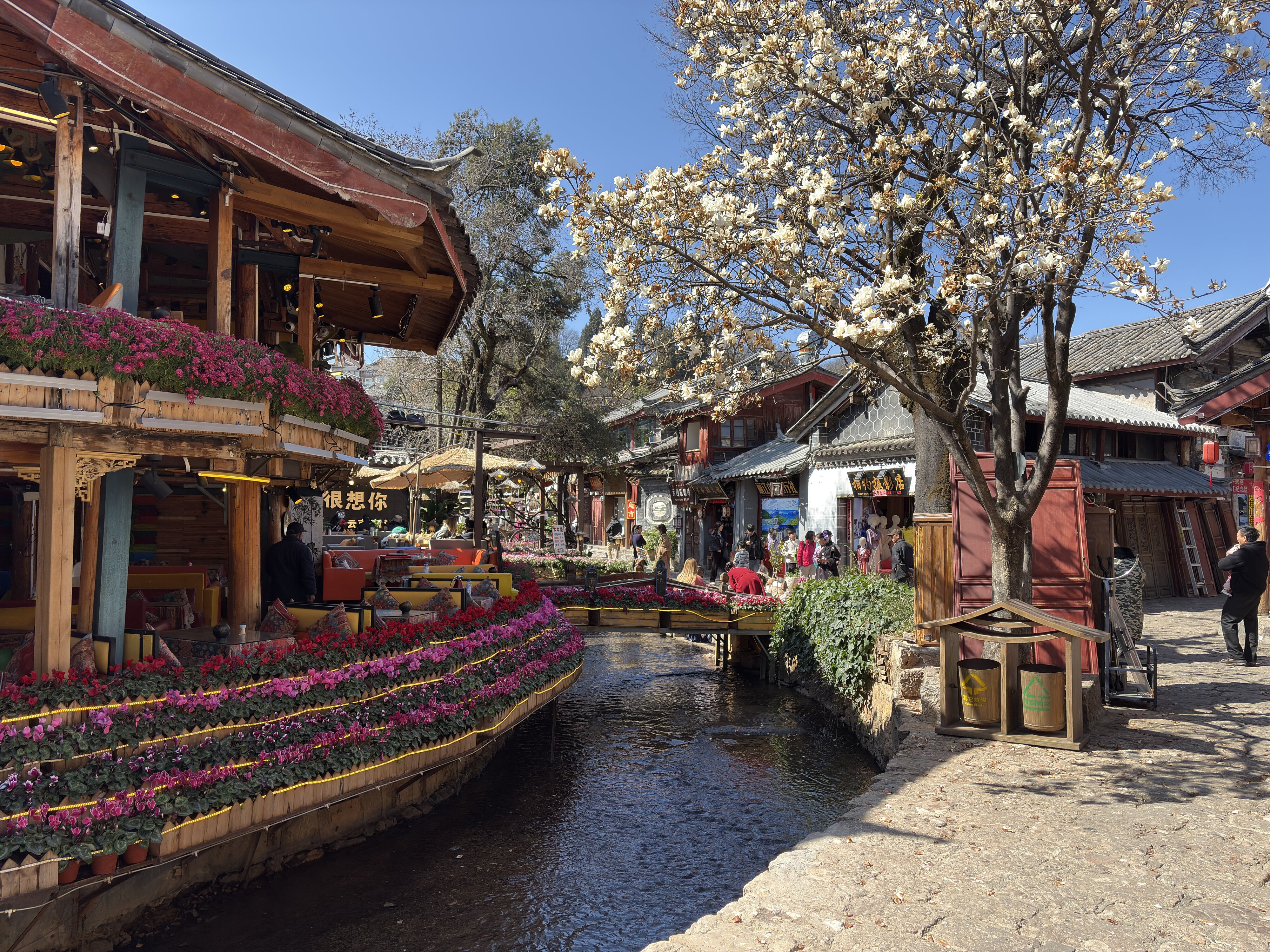 Photo Chine Lijiang 2026-01 499