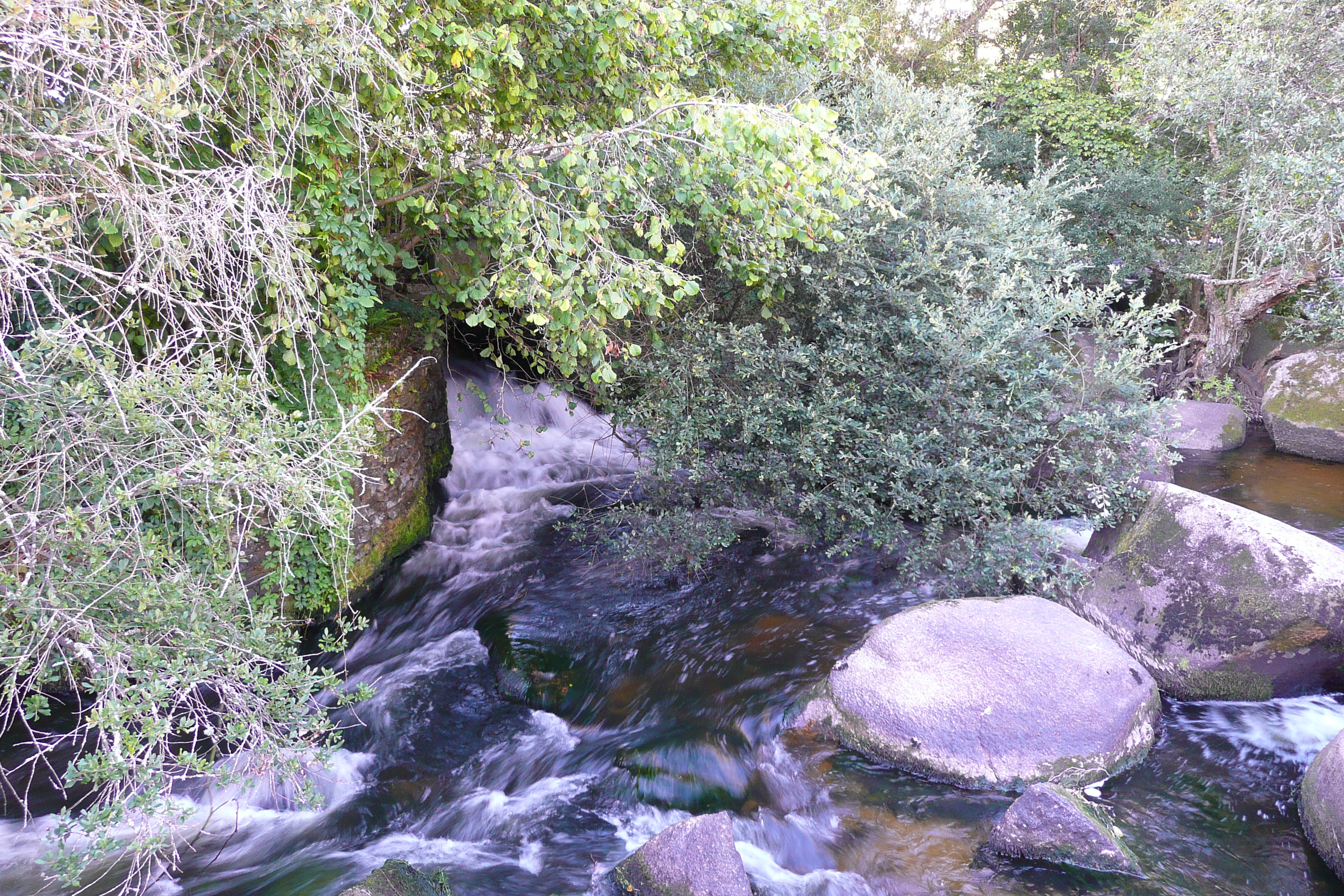 Photo France Pont Aven 2008-07 18