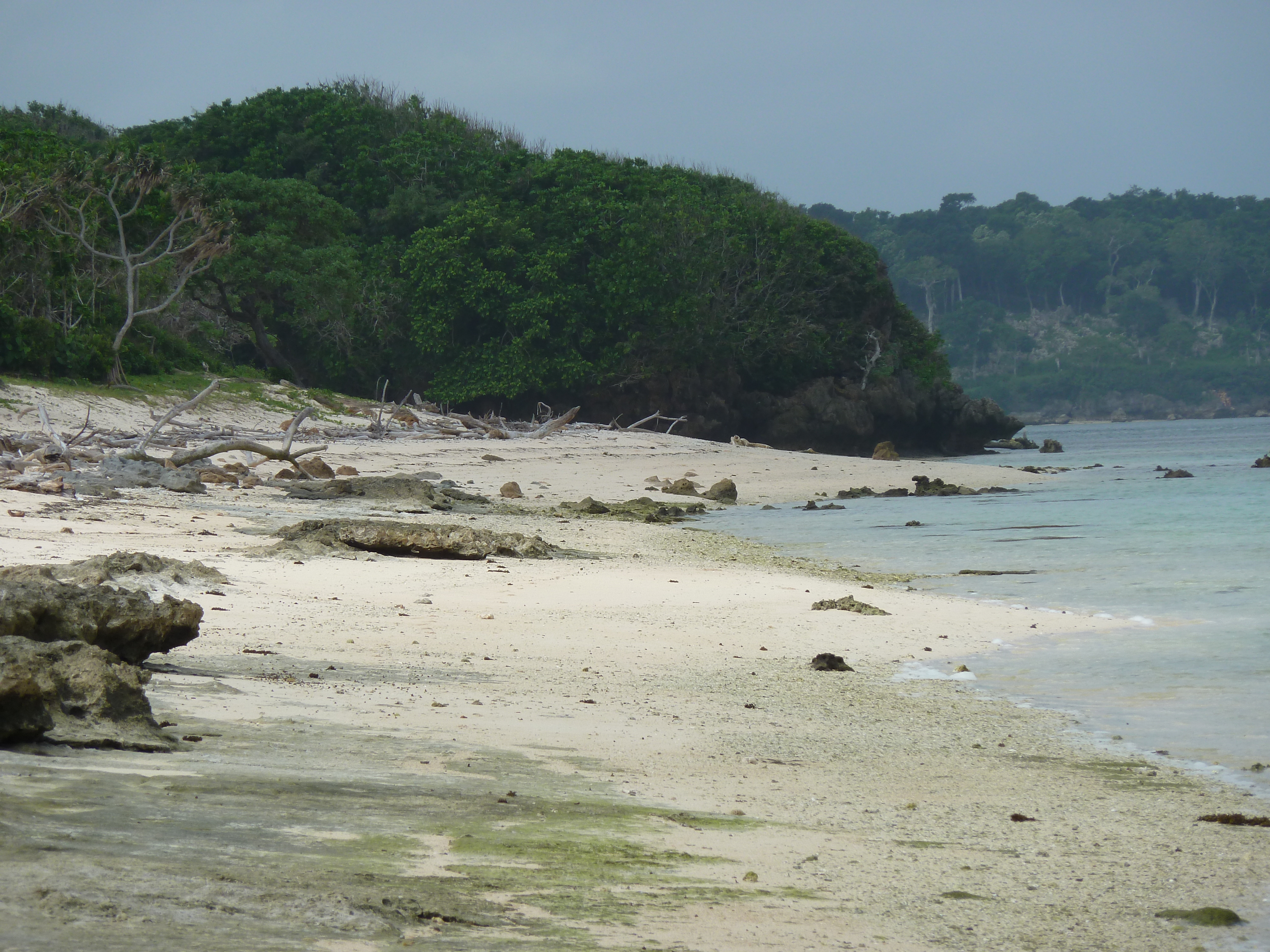 Photo Îles Fidji Nadi à Natadola 2010-05 57