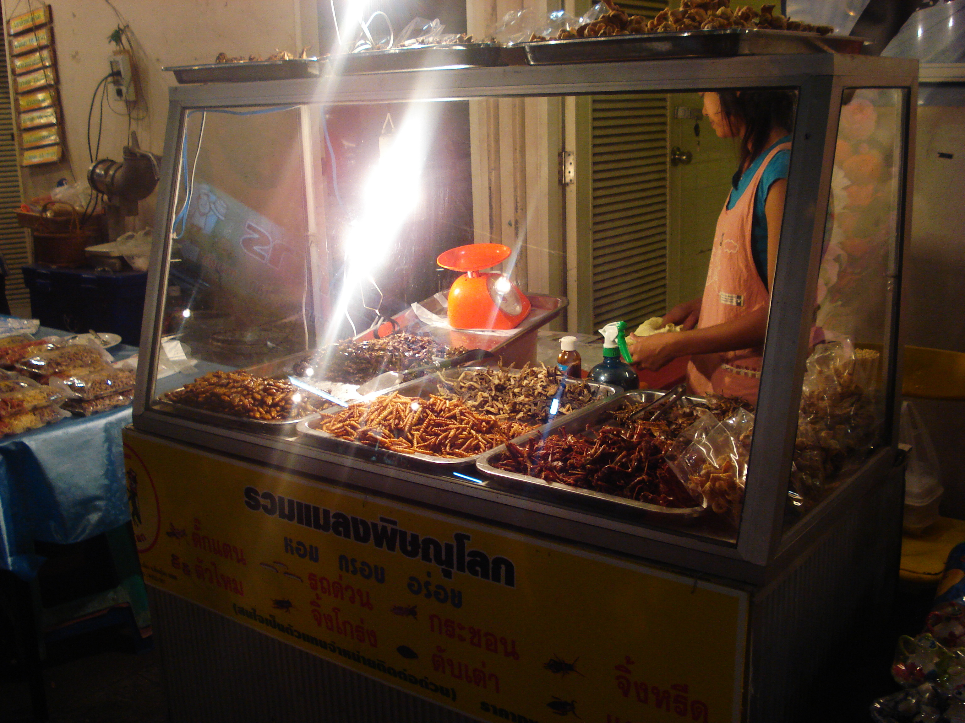 Photo Thaïlande Phitsanulok Puttabucha 2008-01 30