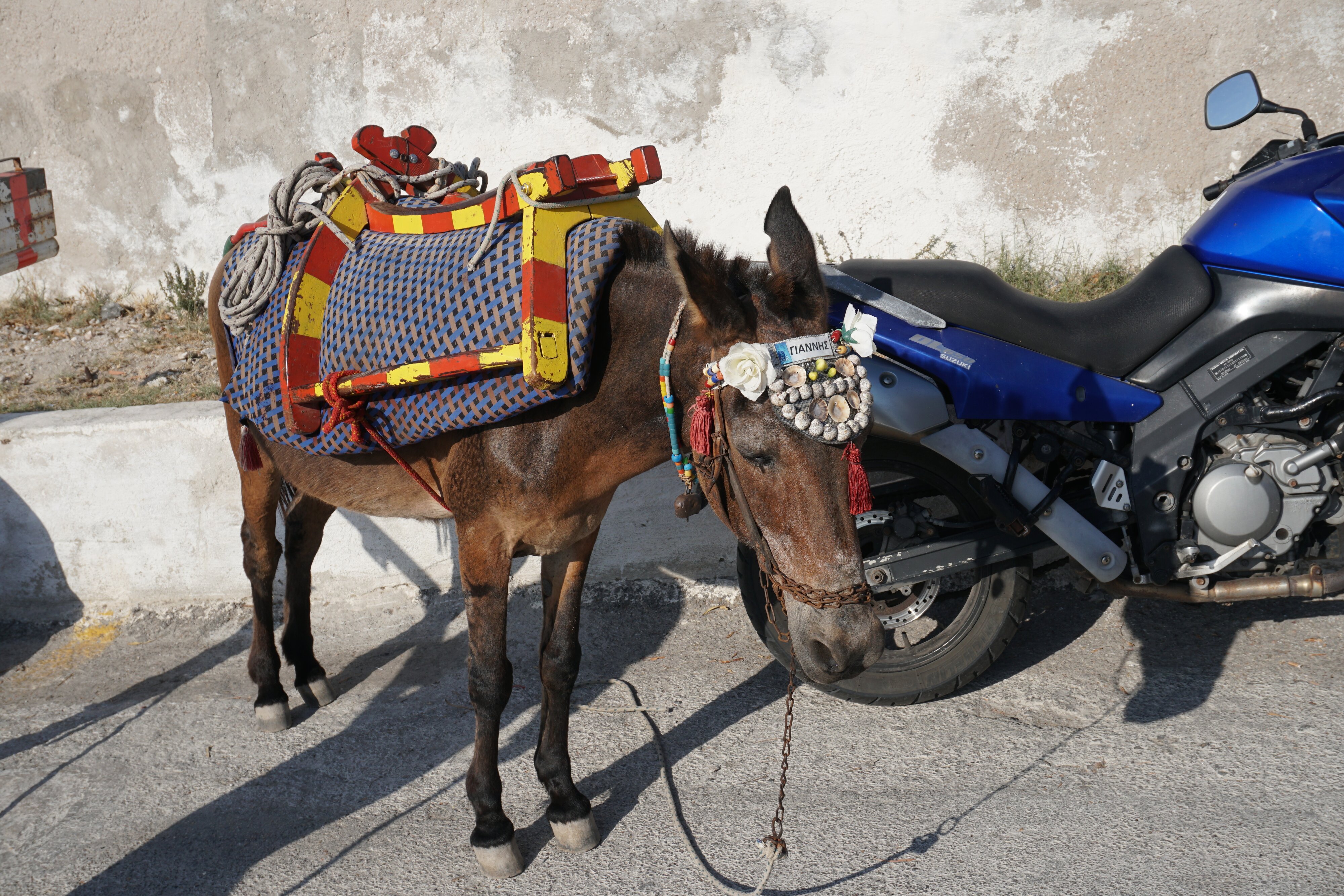 Photo Grèce Santorin 2016-07 78