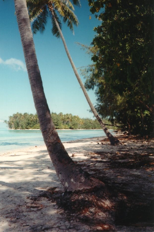 Photo Polynésie Mooréa 1993-04 46