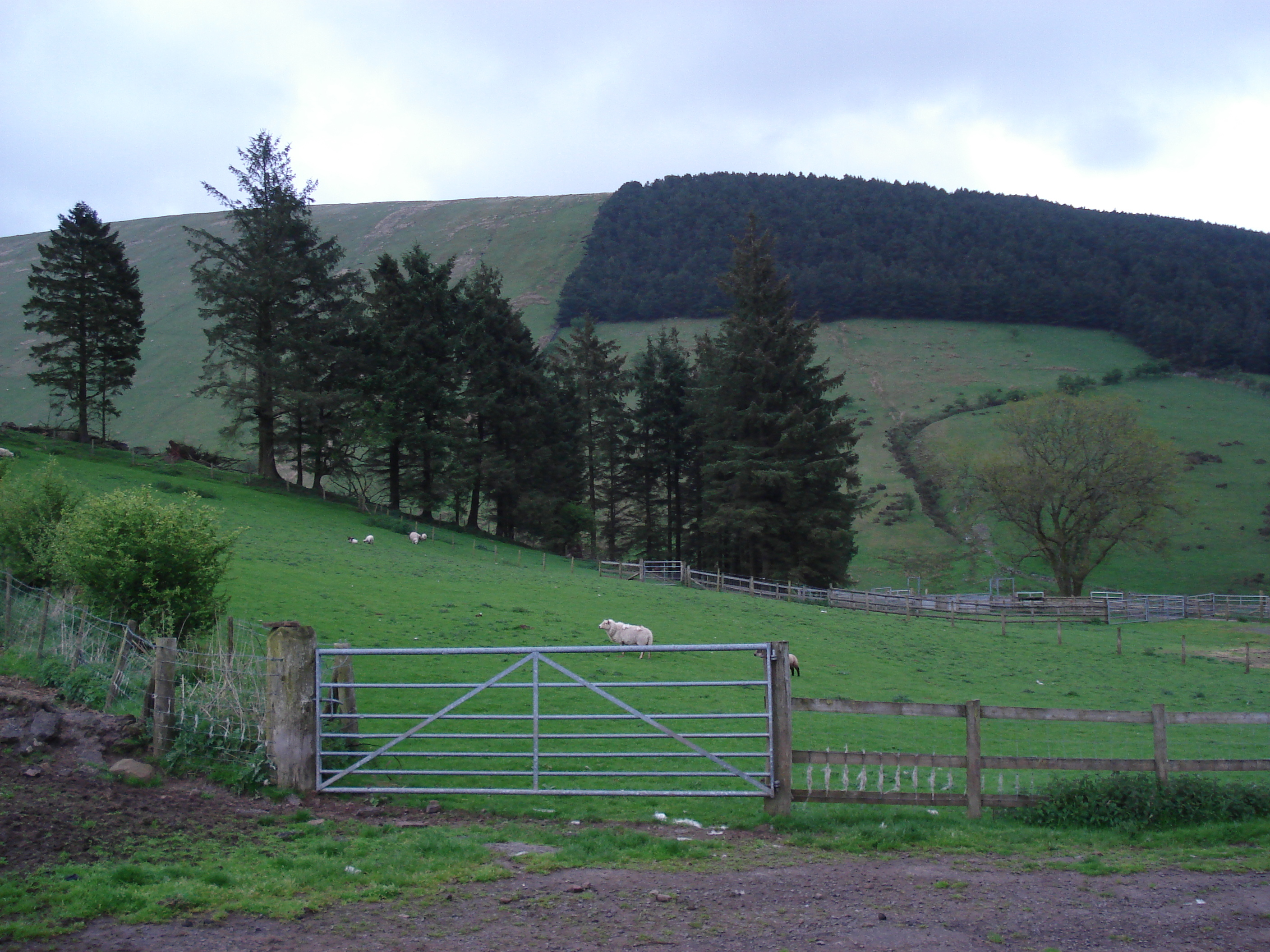 Photo Royaume-Uni Parc national des Brecon Beacons 2006-05 84