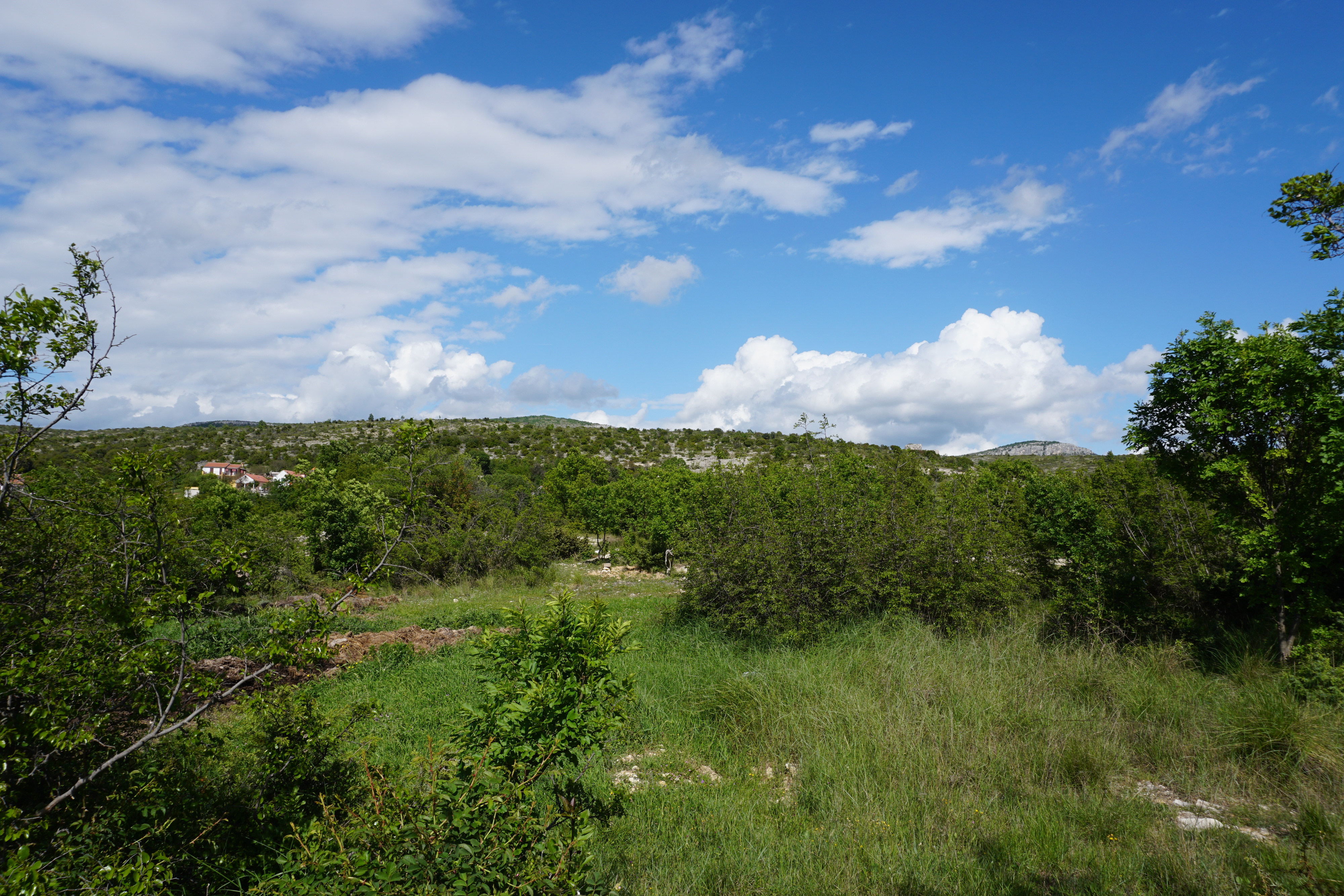 Photo Croatie 2016-04 91
