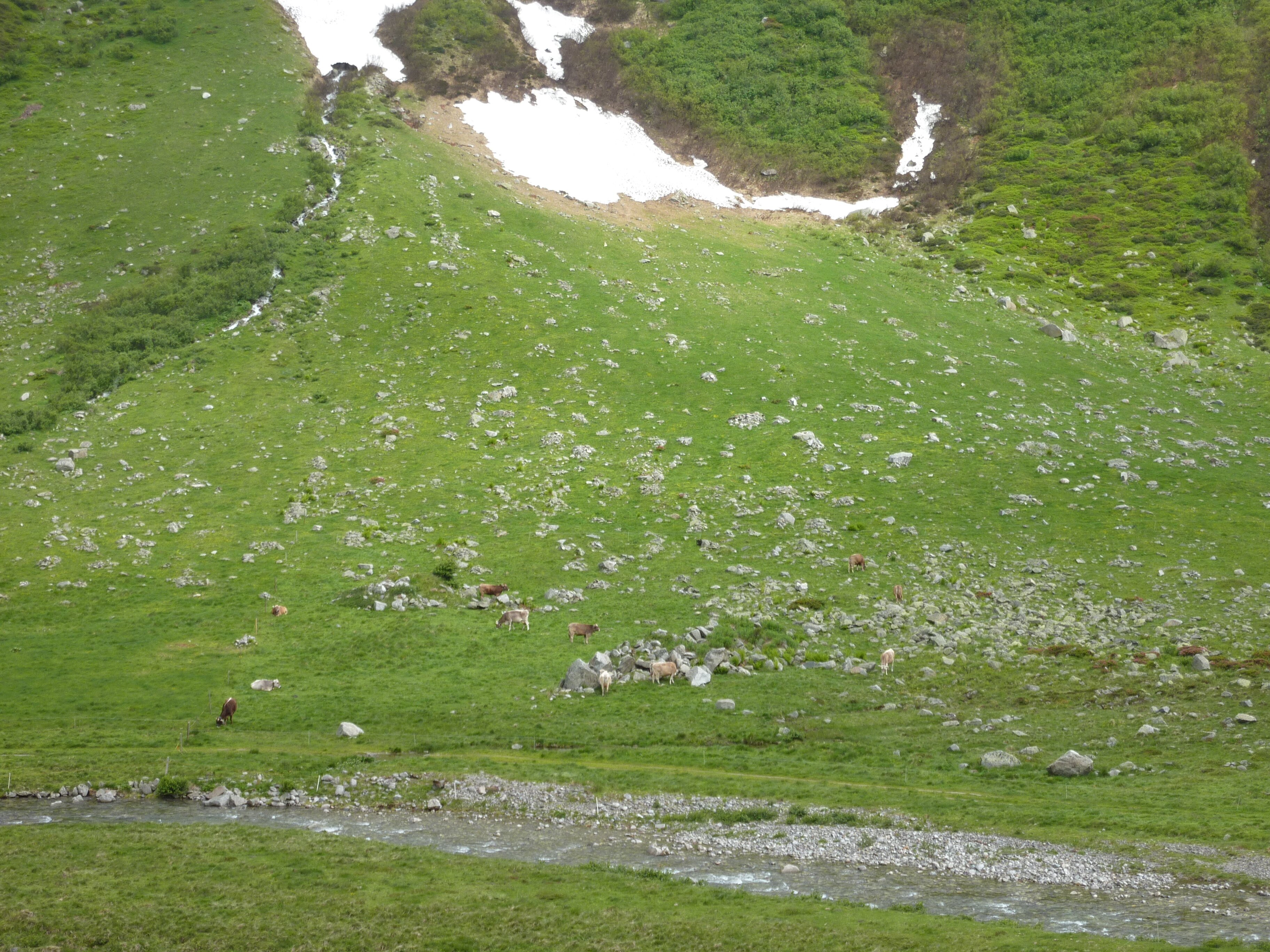 Photo Suisse Col du Saint Gothard 2009-06 6