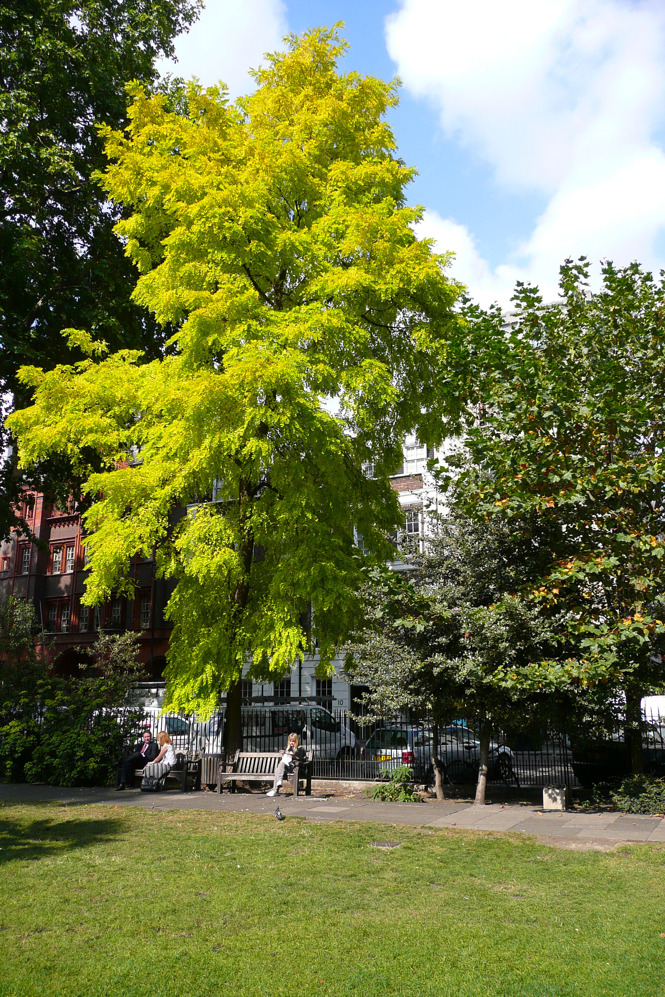 Photo Royaume-Uni Londres Soho Square 2007-09 52