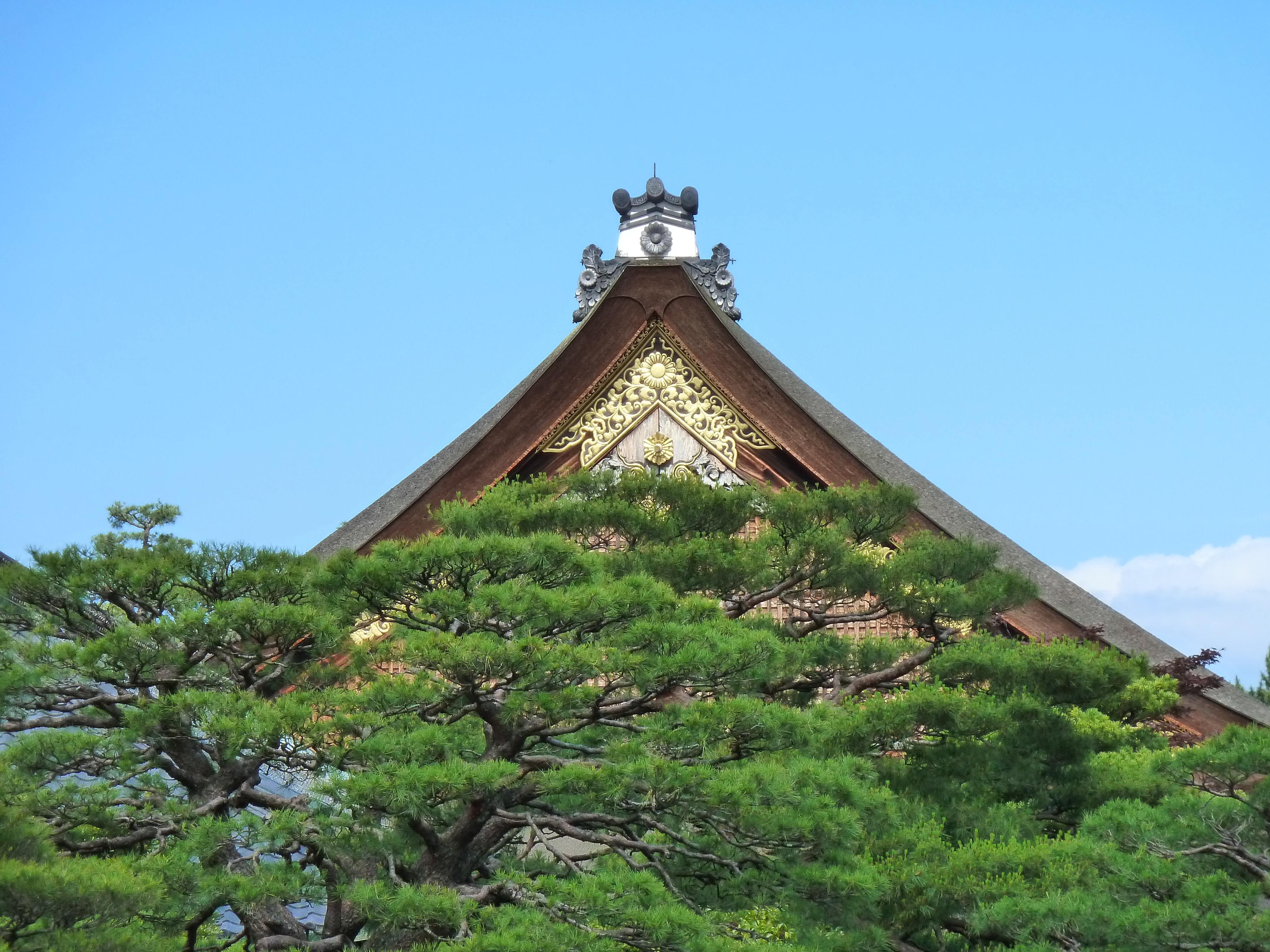Photo Japon Kyoto Palais impérial de Kyoto 2010-06 124