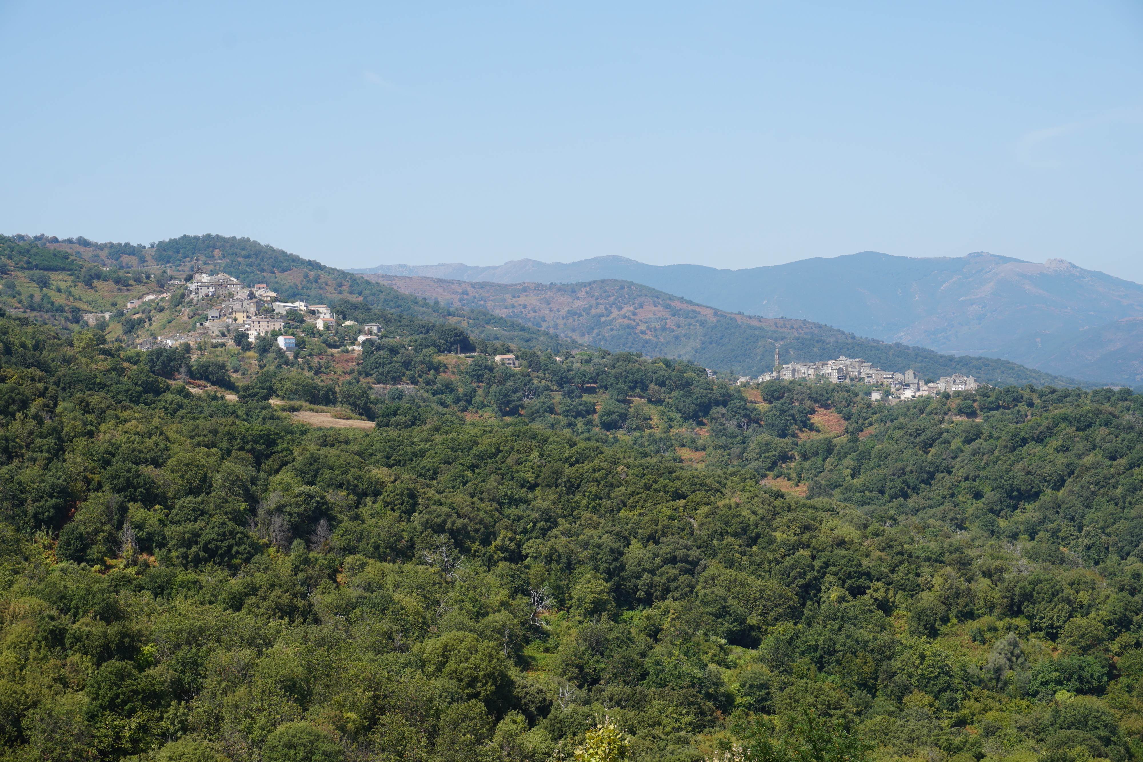 Photo France Corse Castellare-di-Casinca 2017-09 7